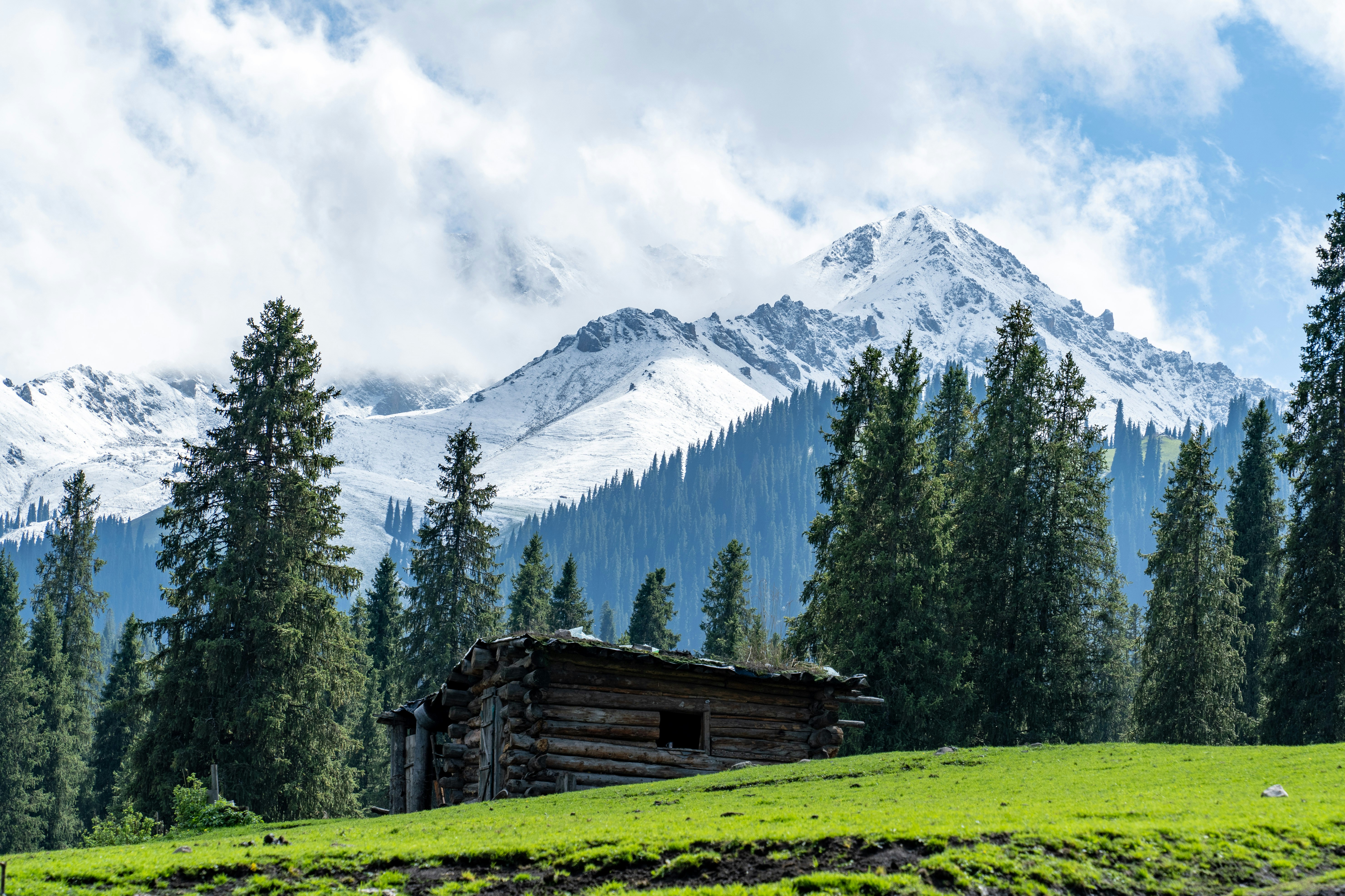 Photo by cjoyb_zheng