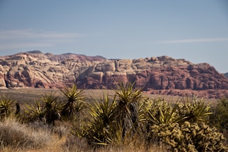 A desert with a mountain in the background