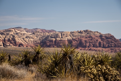 A desert with a mountain in the background