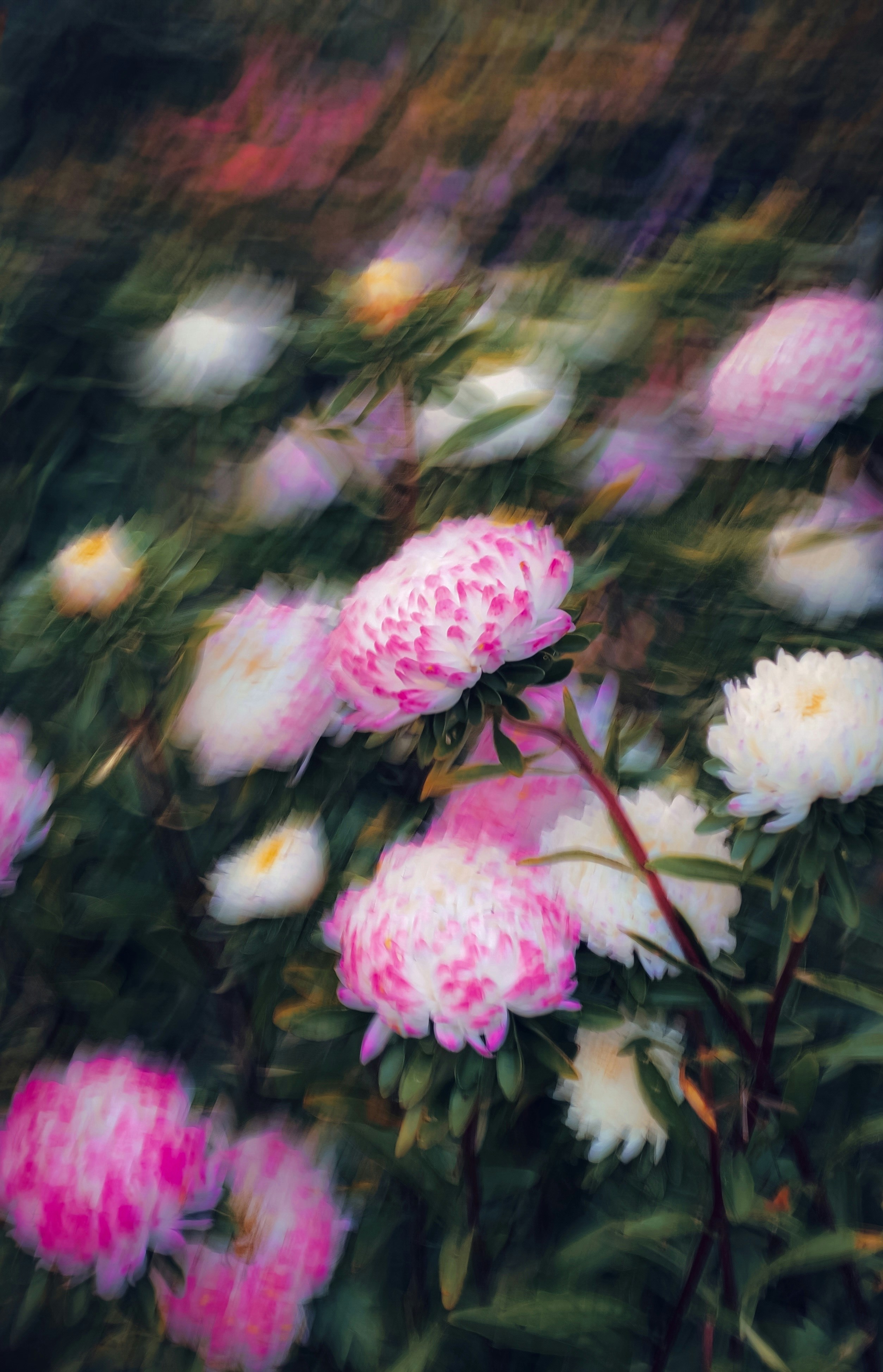 Photo by eugene_golovesov