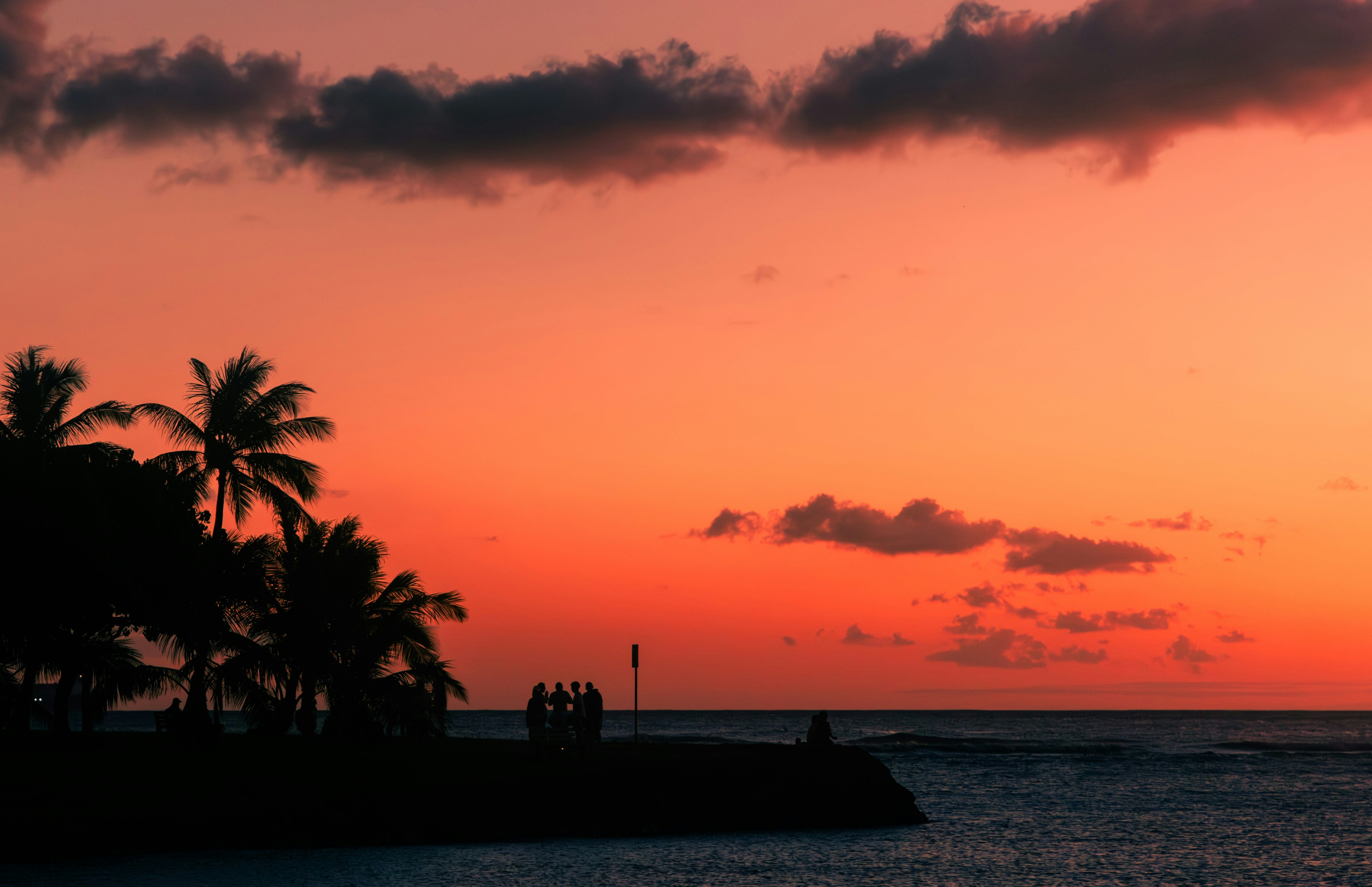 The sun is setting over the ocean with palm trees