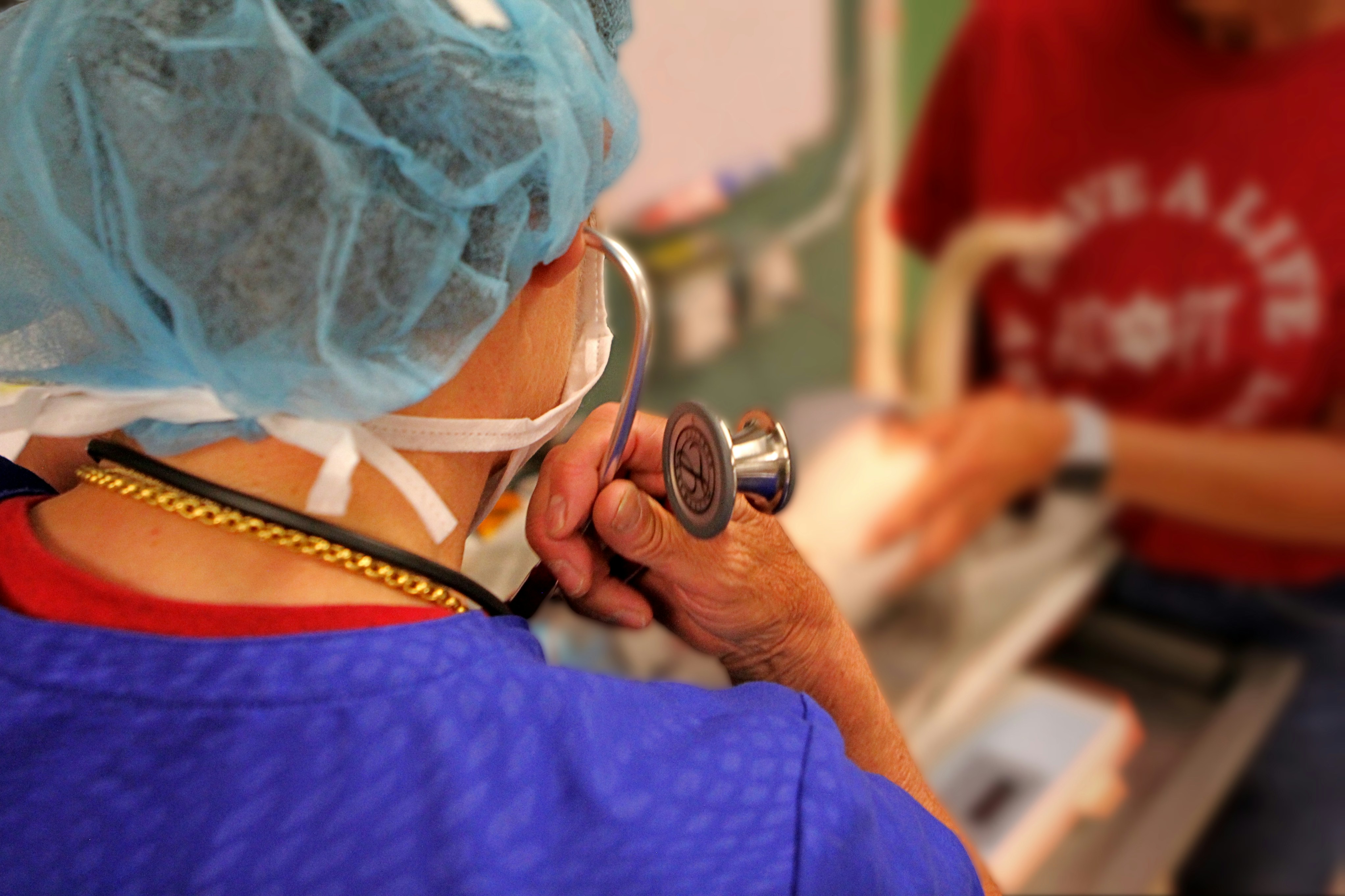 Veterinary Care and Health Concerns (image credits: unsplash)