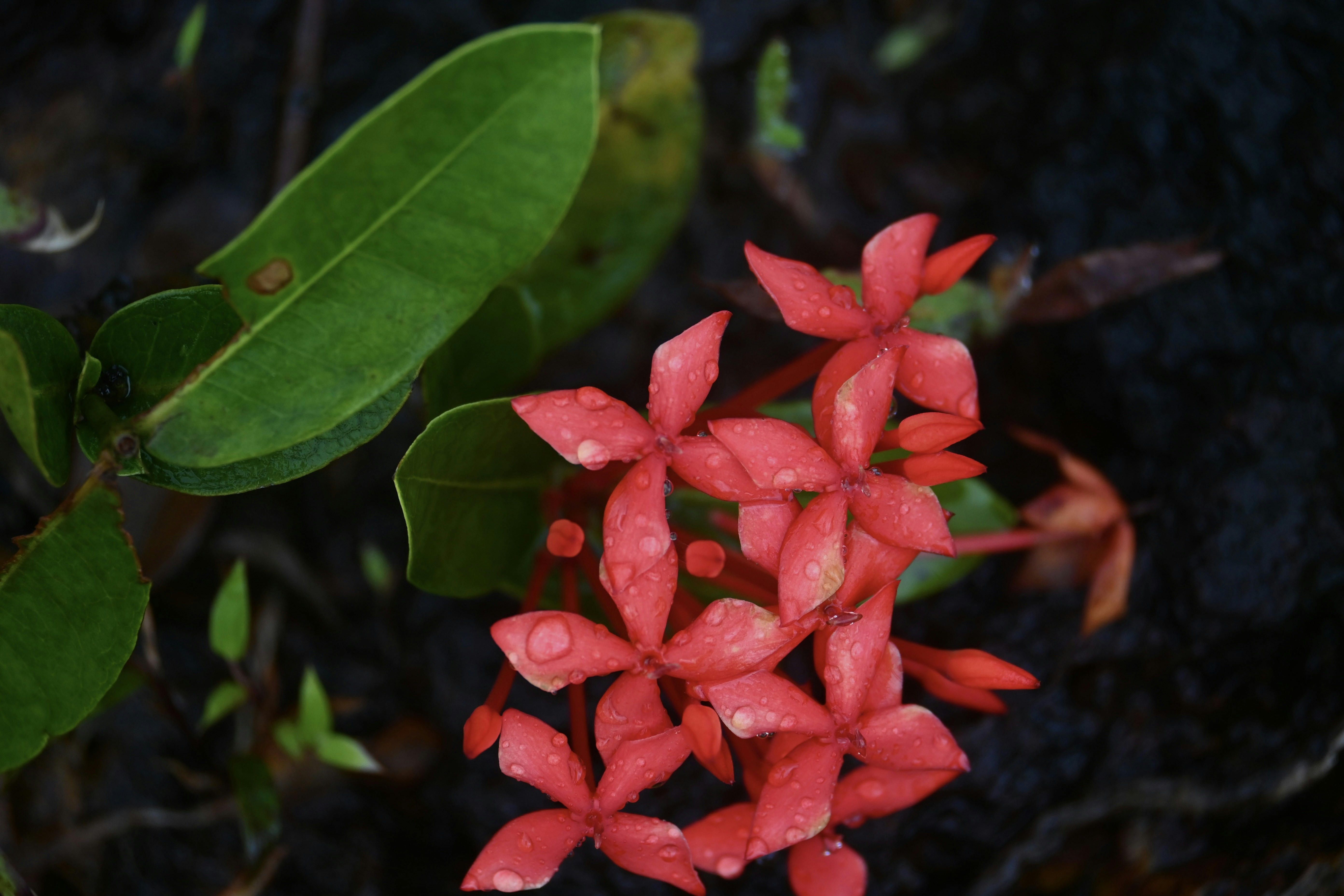 Photo by praswinprakashan