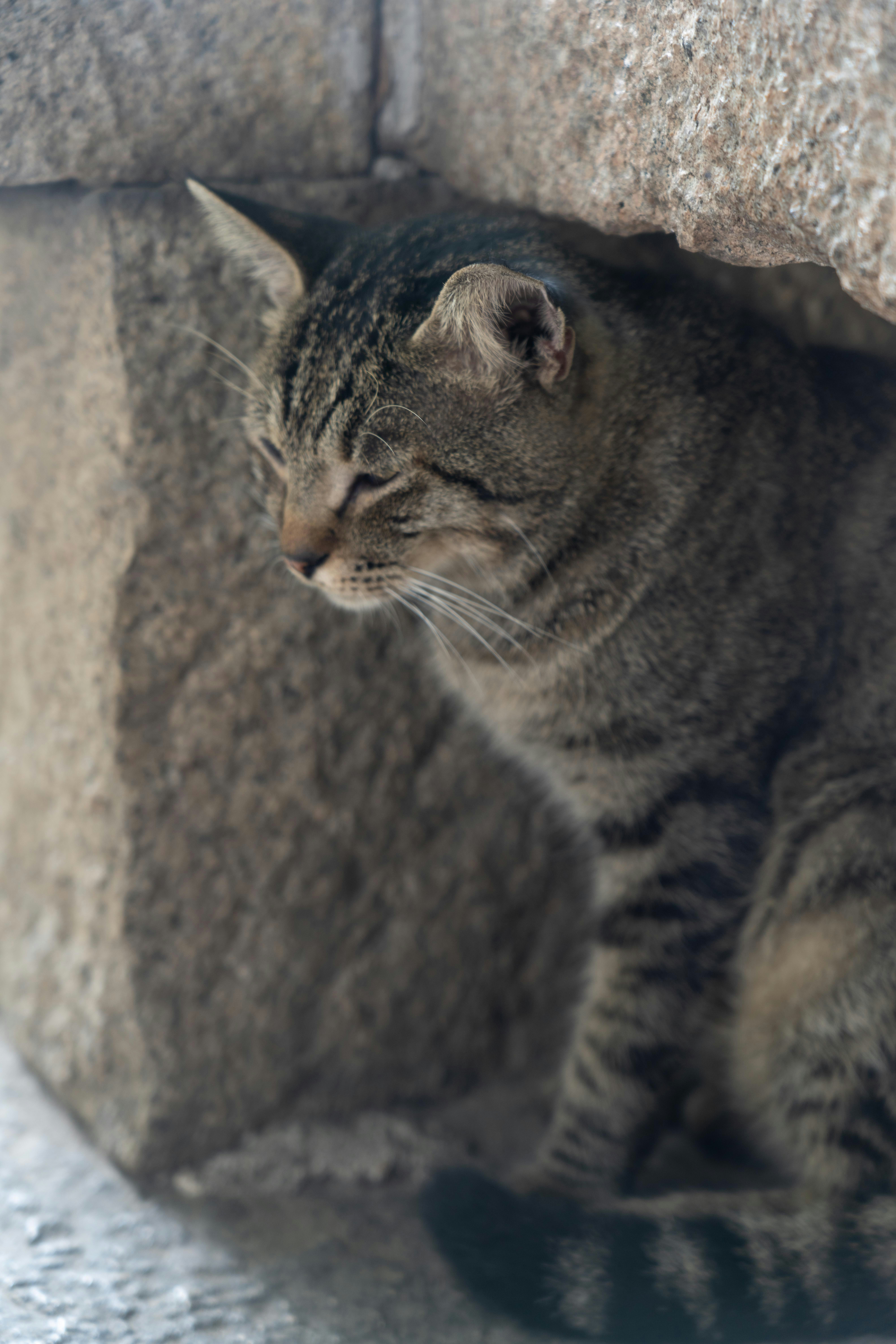 Photo by jerryshe
