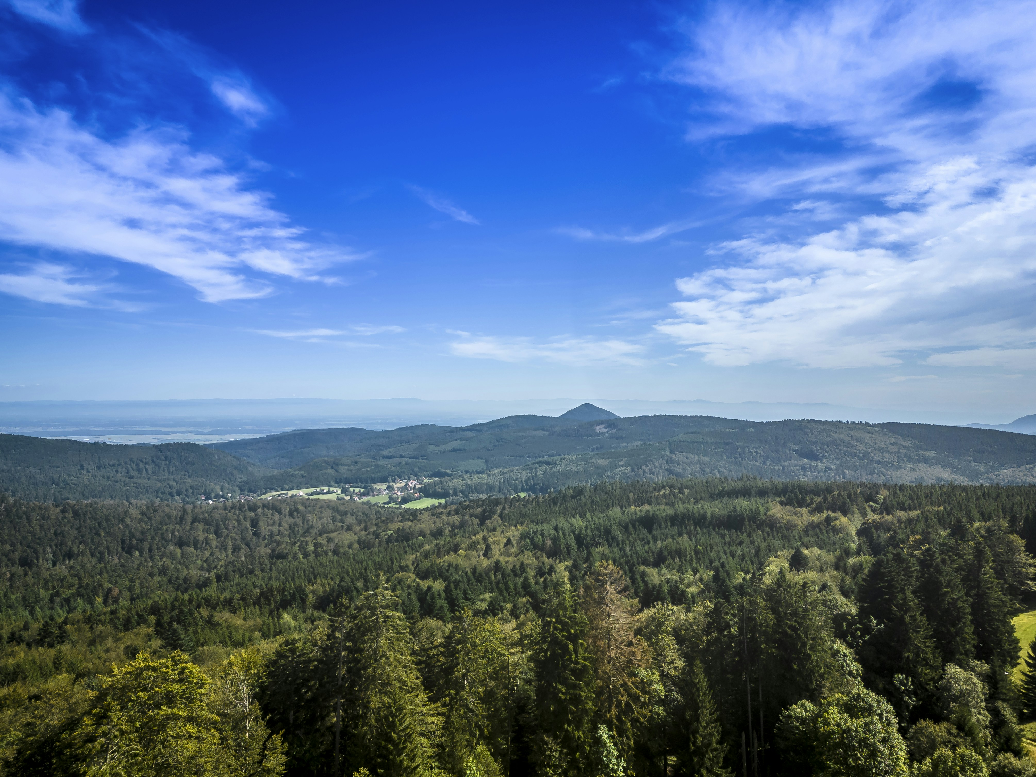 Photo by photographybymat_26