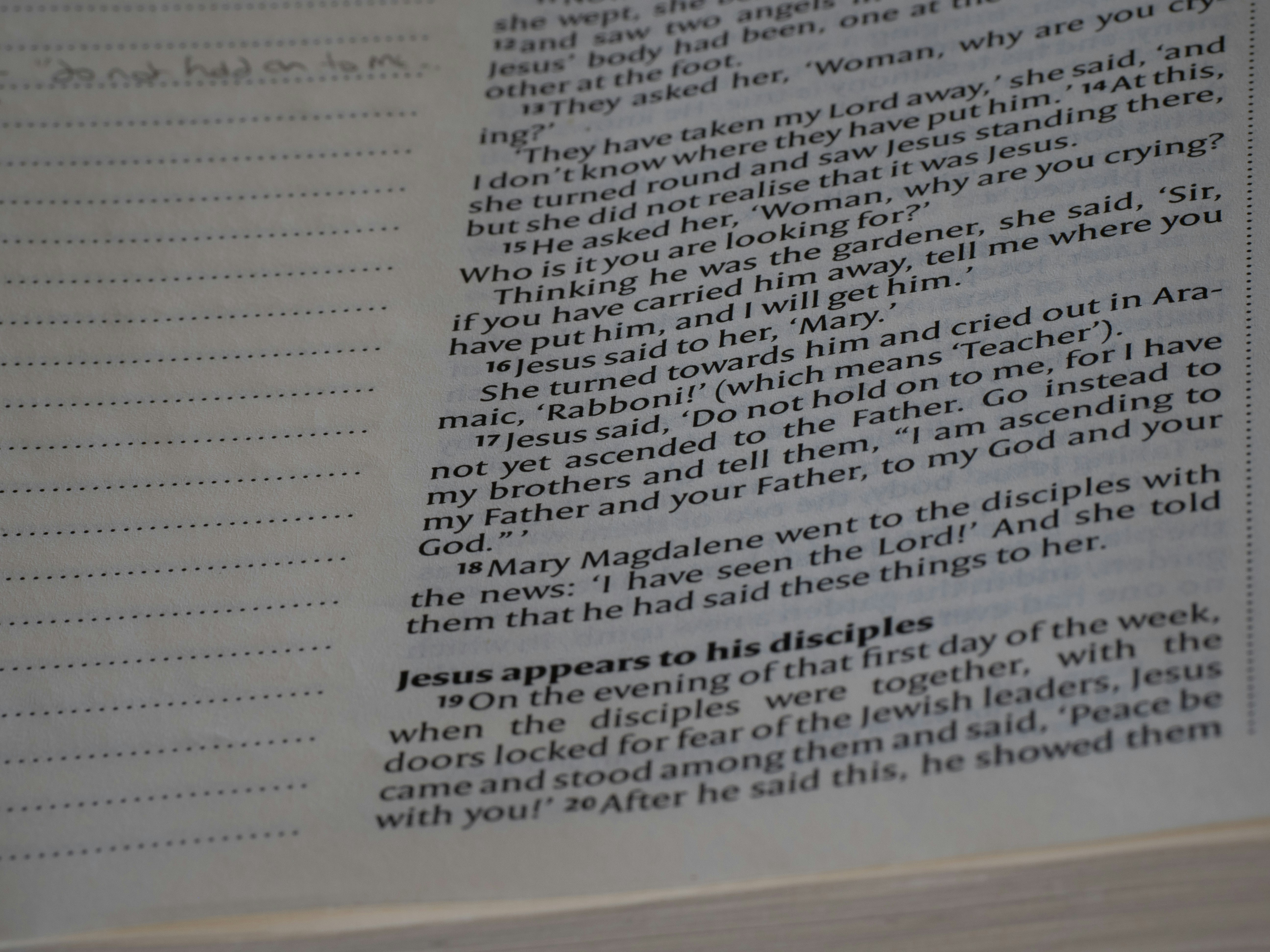 close up, bokeh, bible, new testament, christian, history, text, reading, bible study, devotions, christianity, scripture, Gospel of John, John, Gospel,