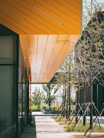 A gold canopy over a tree-lined walkway
