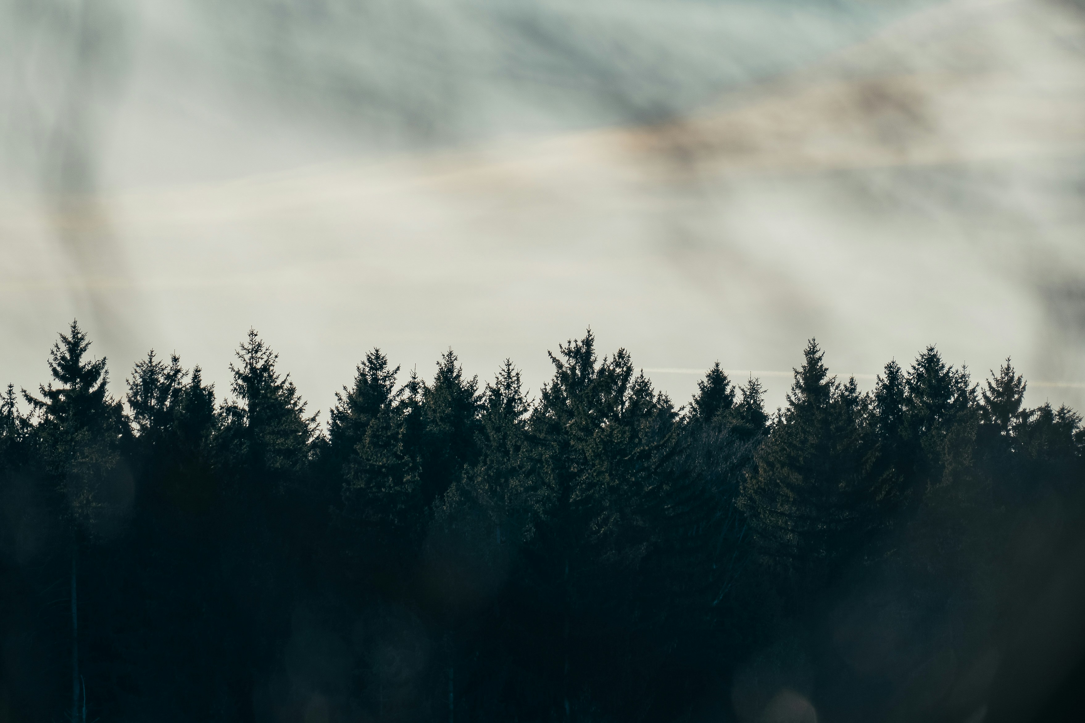 Photo by patrick_von_der_wehd