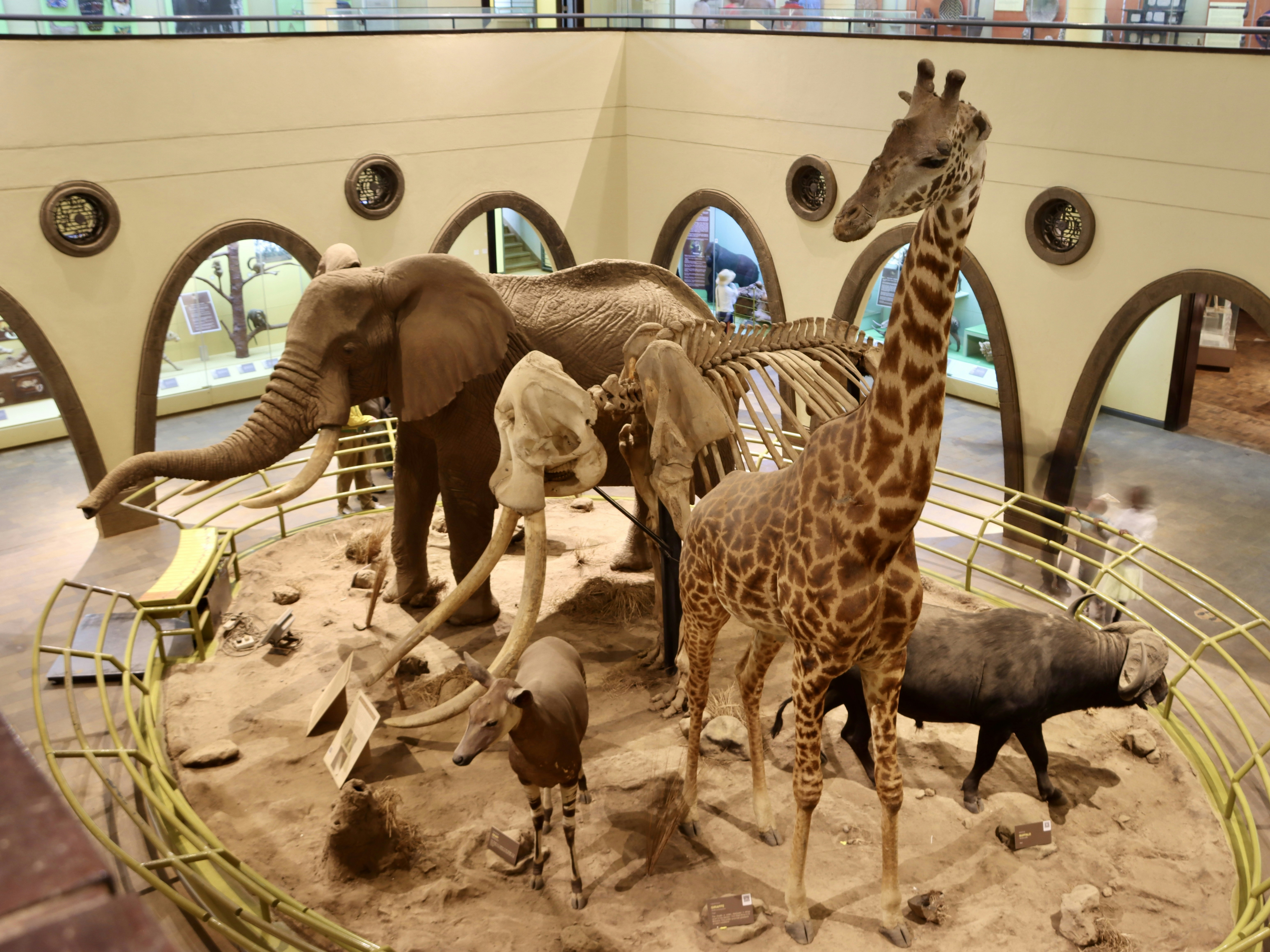 Elephant Museum