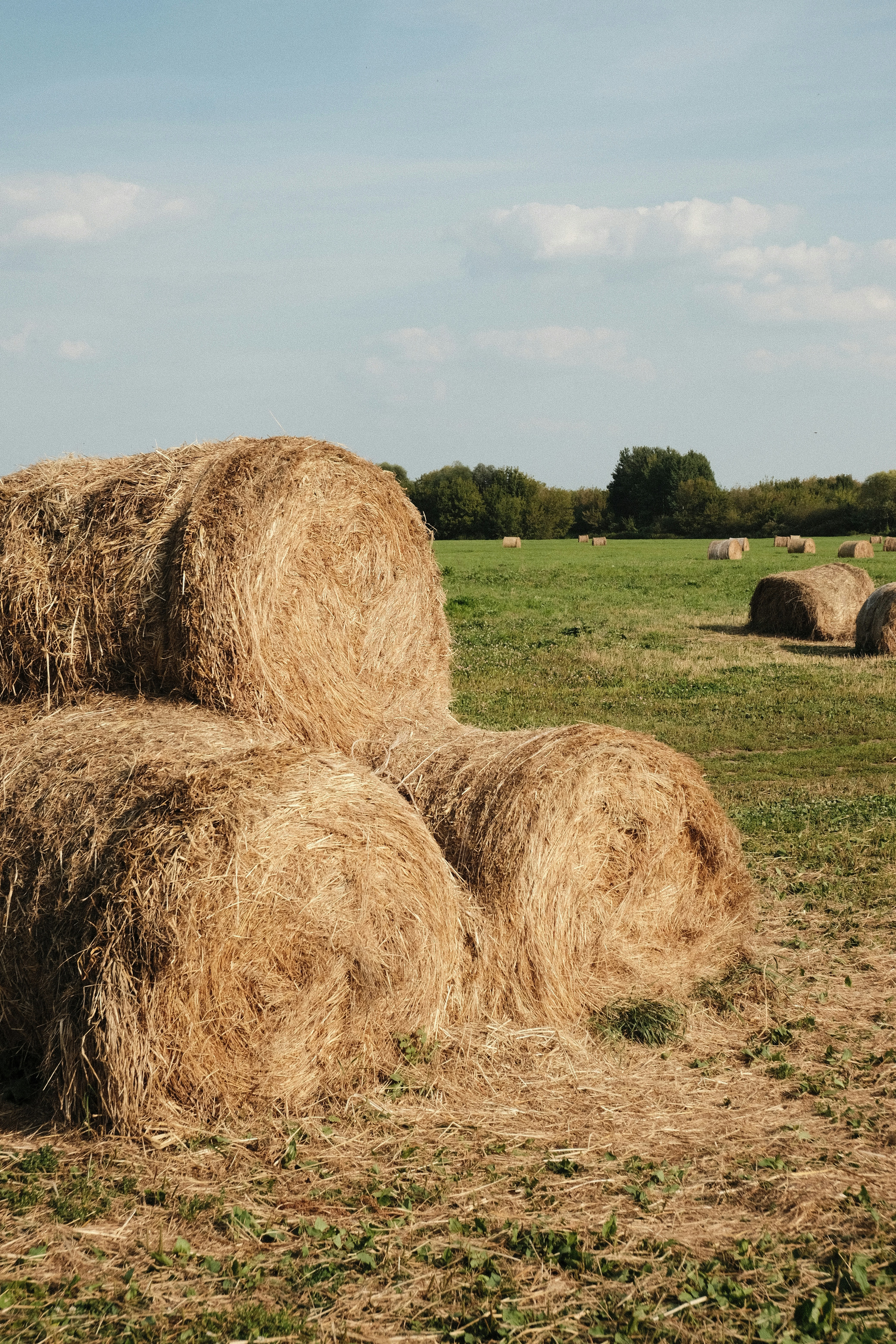 Photo by tatianarudneva