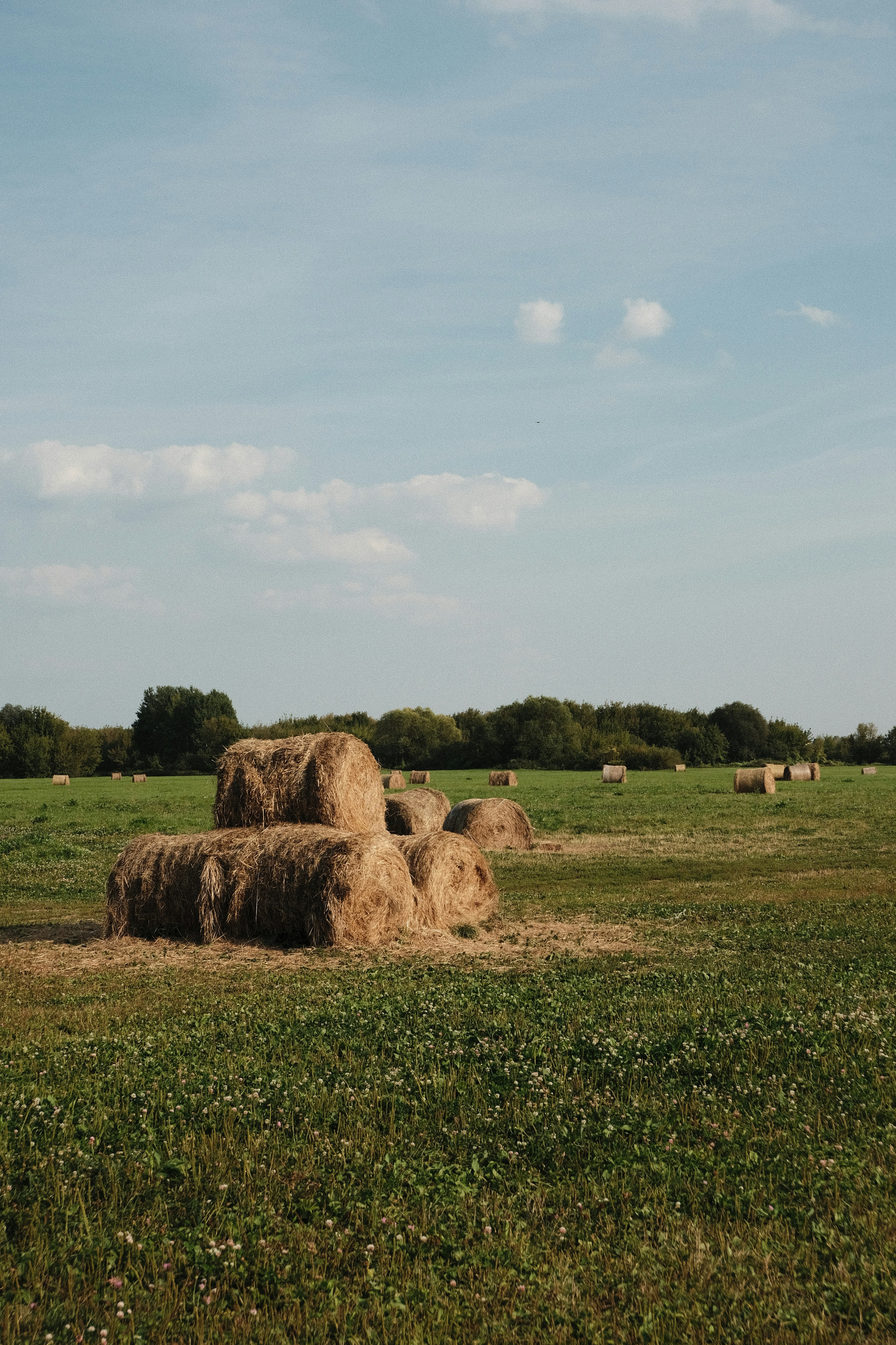 Photo by tatianarudneva