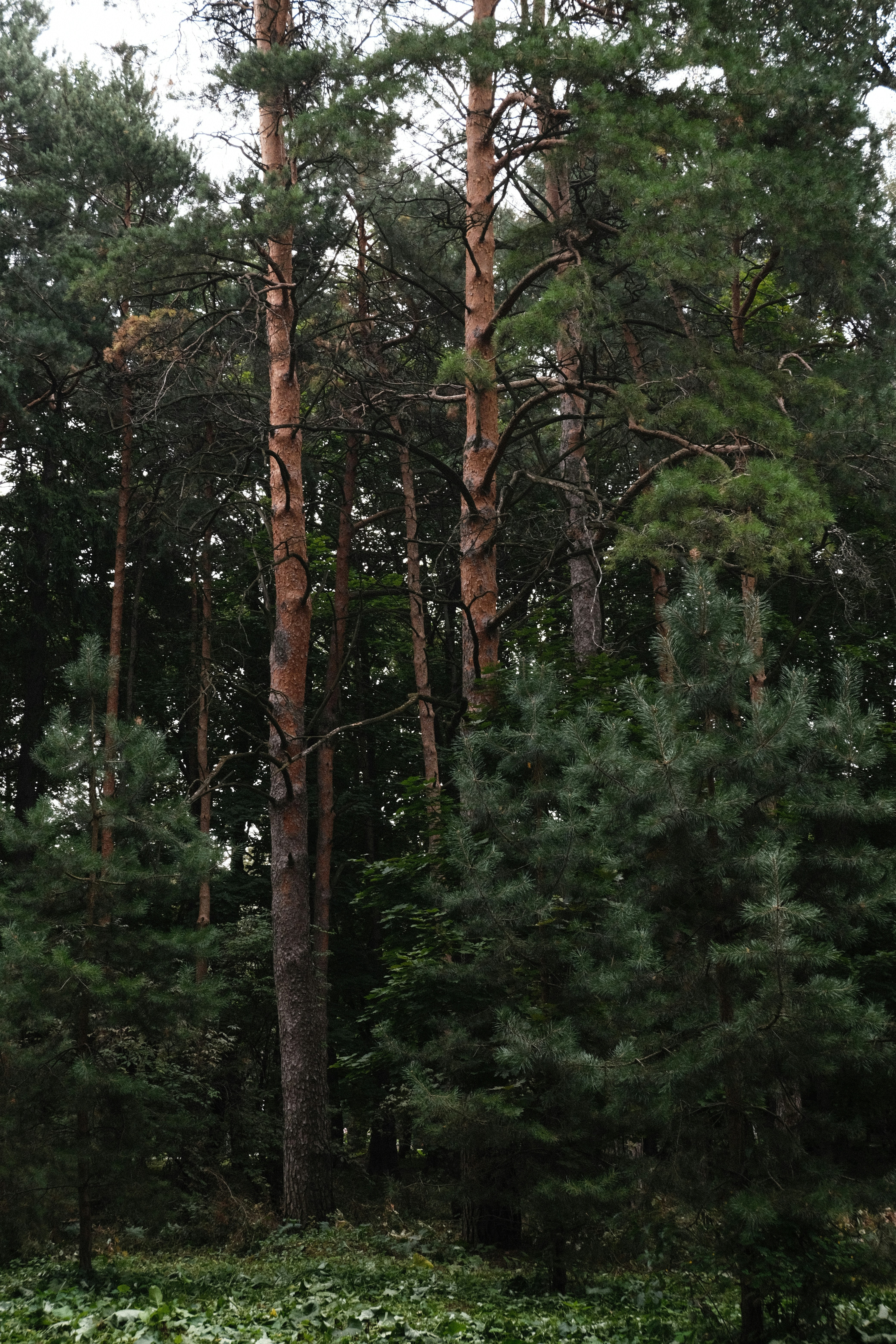 Photo by tatianarudneva