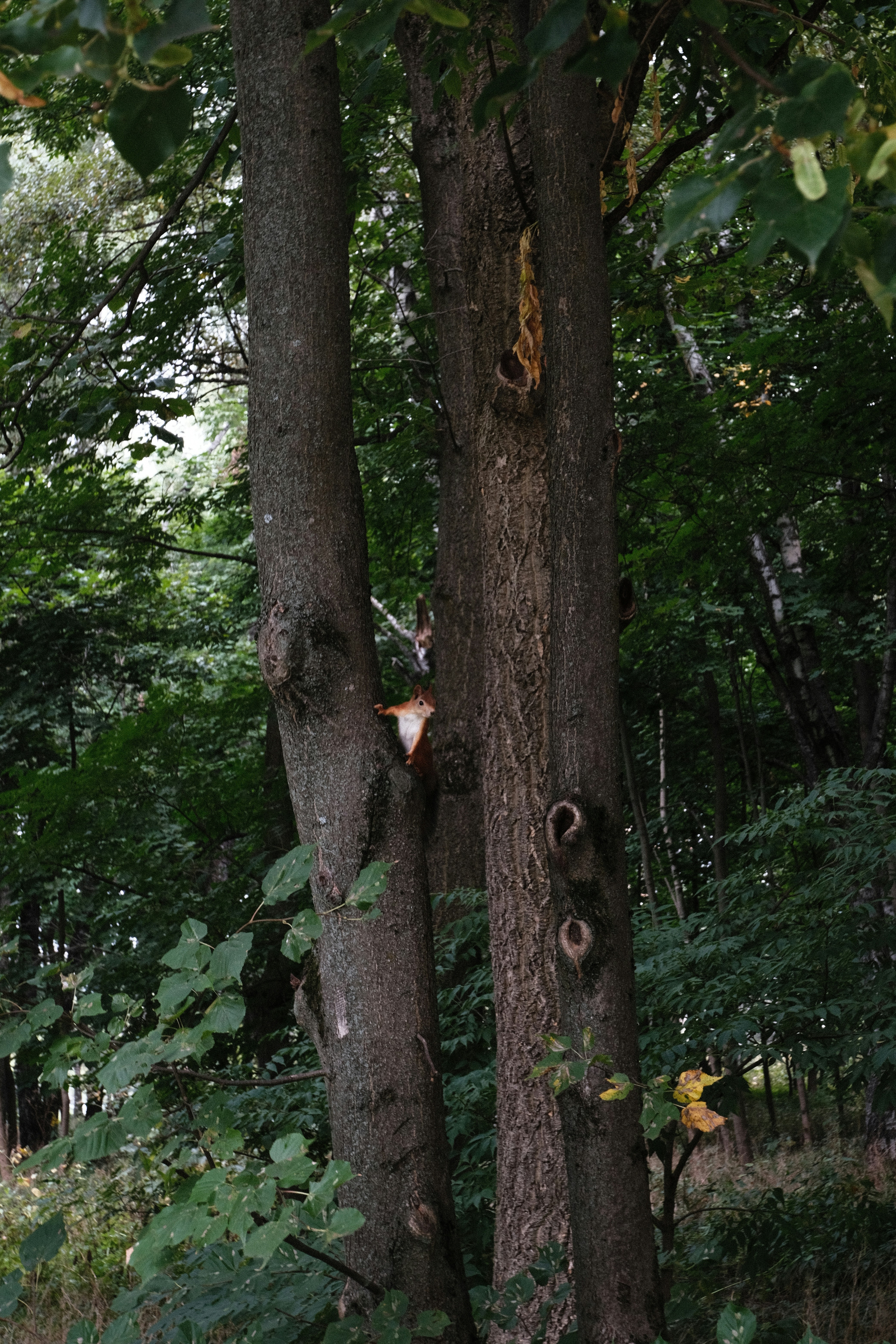 Photo by tatianarudneva