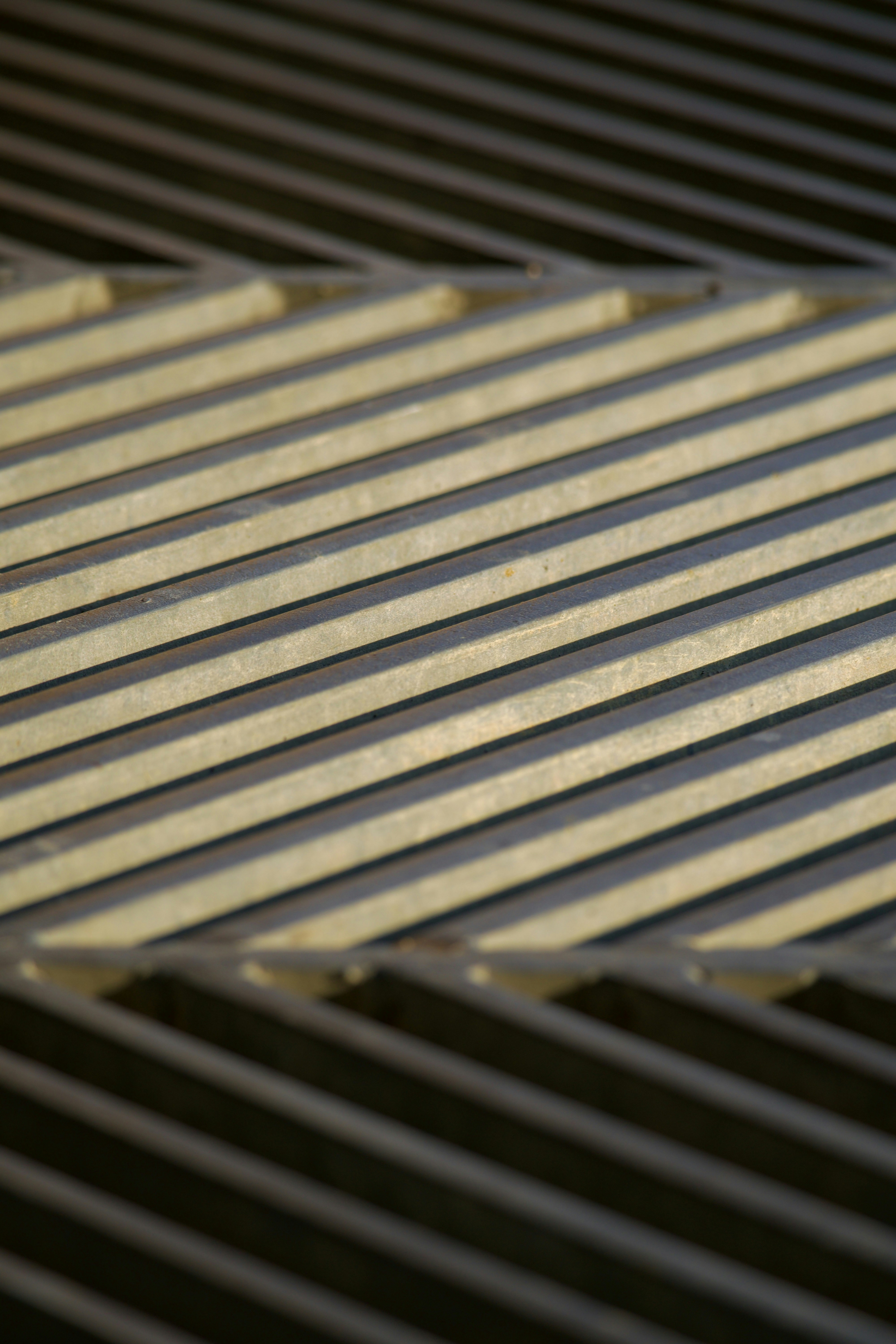 Photo by jan_zinnbauer