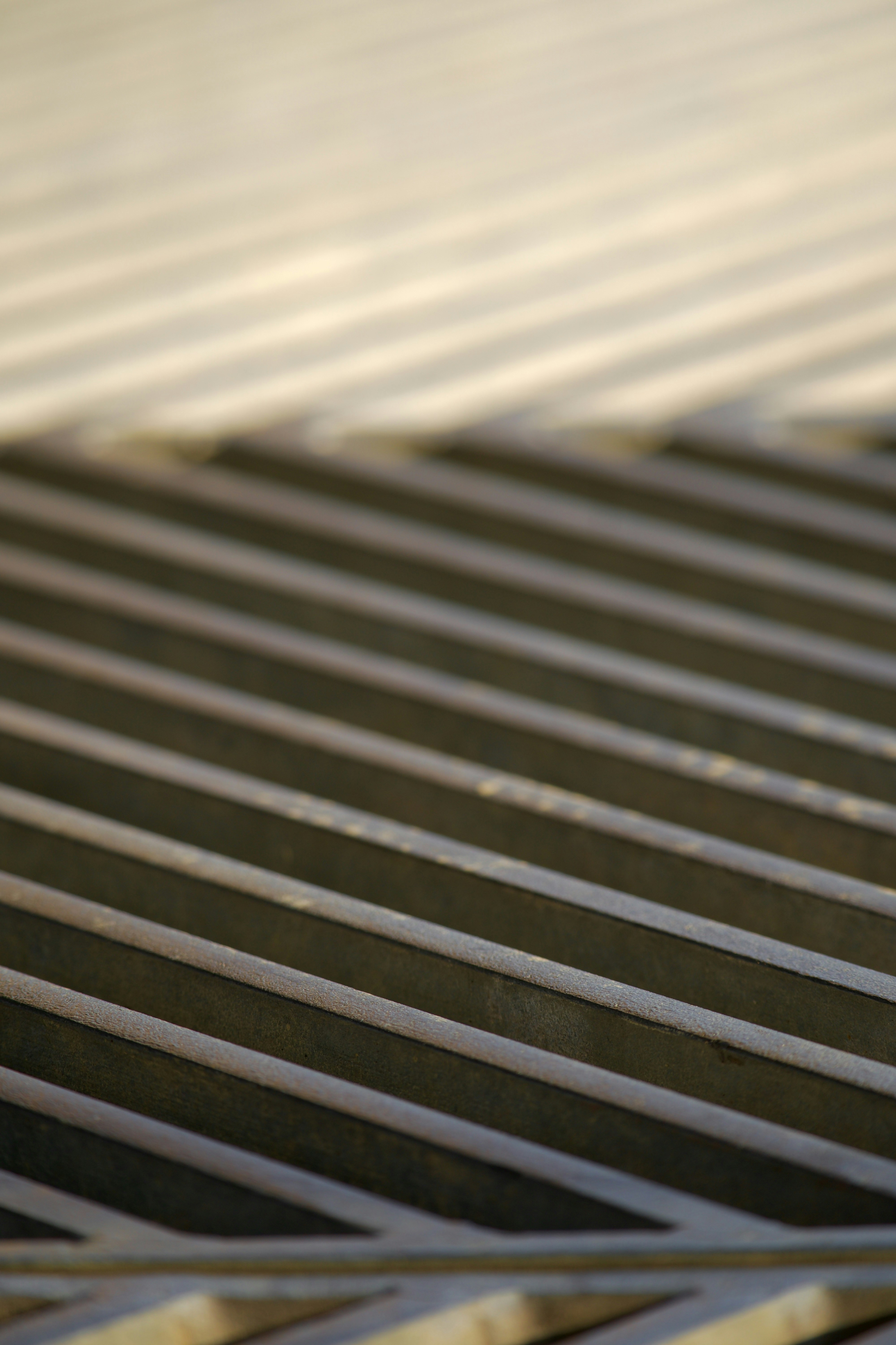 Photo by jan_zinnbauer