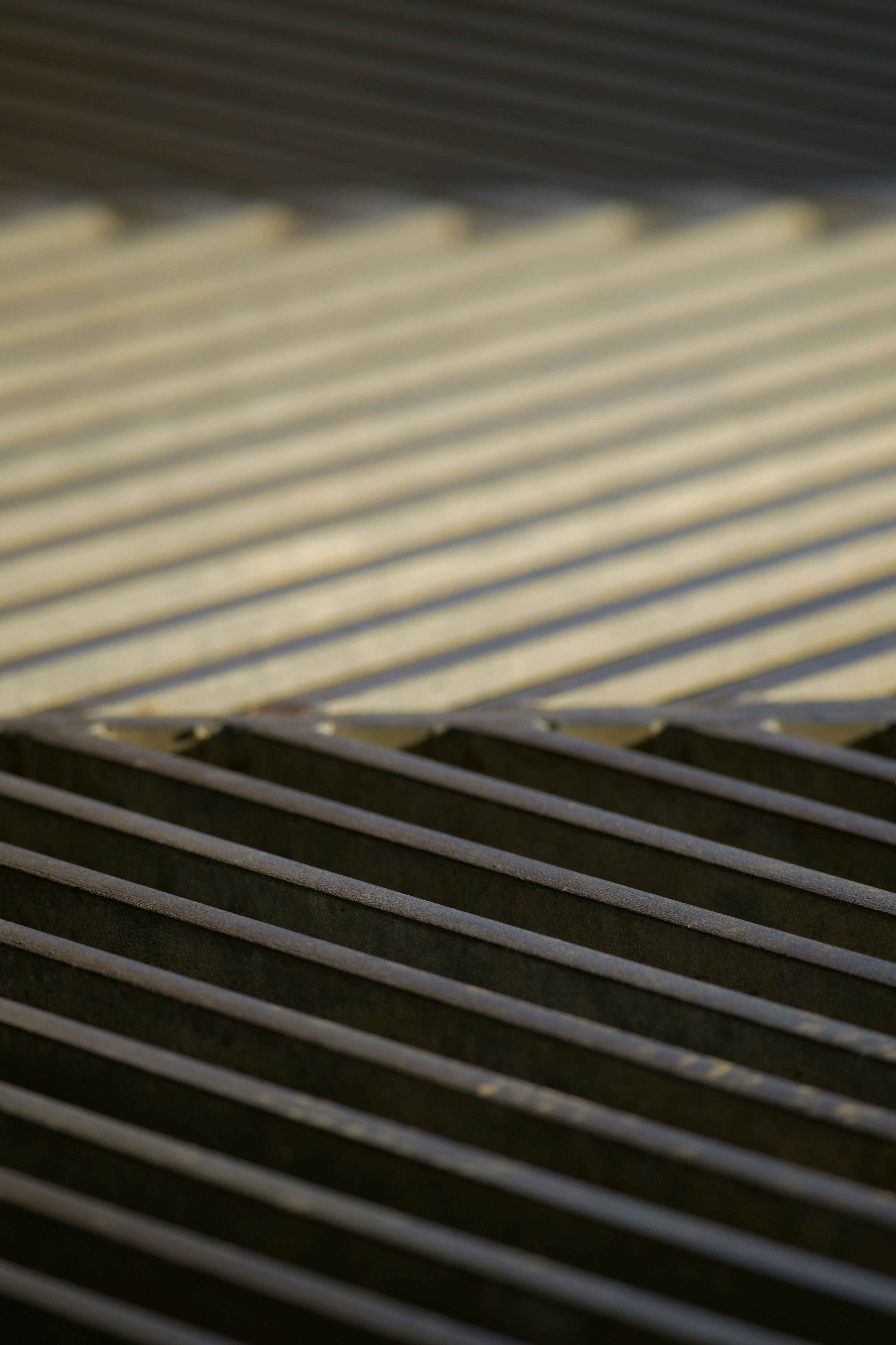 Photo by jan_zinnbauer