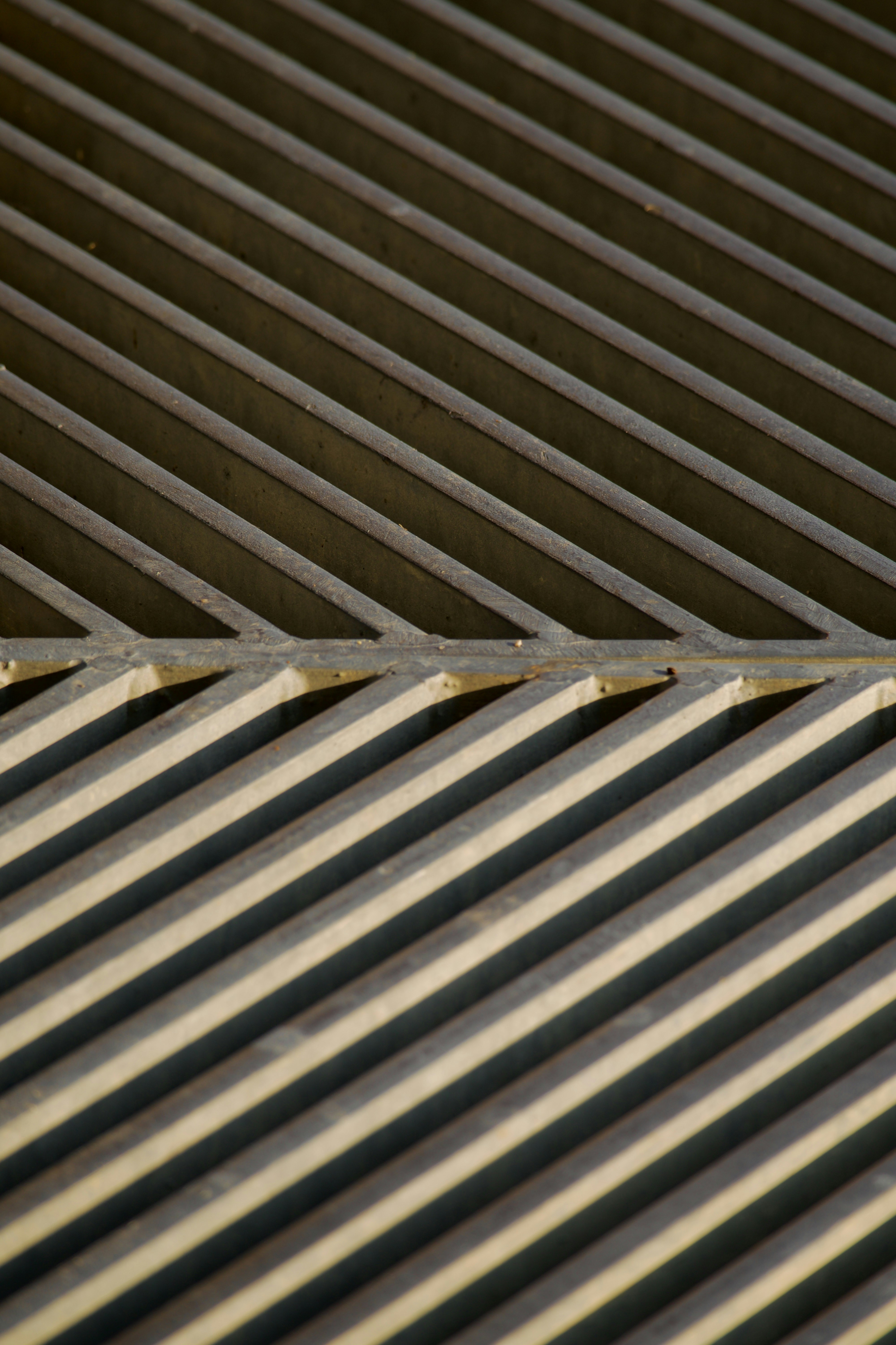 Photo by jan_zinnbauer