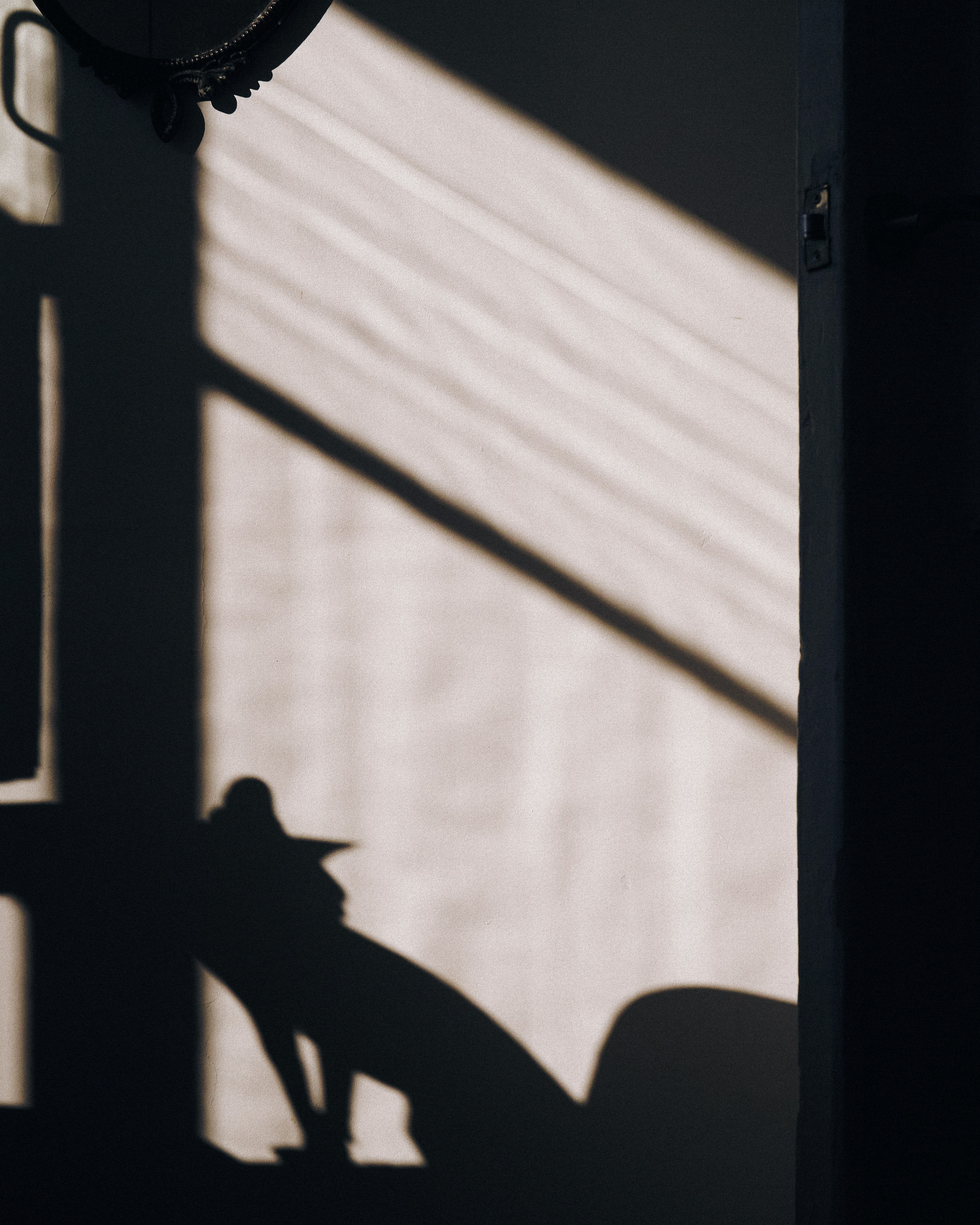The Dance of Shadows (image credits: unsplash)