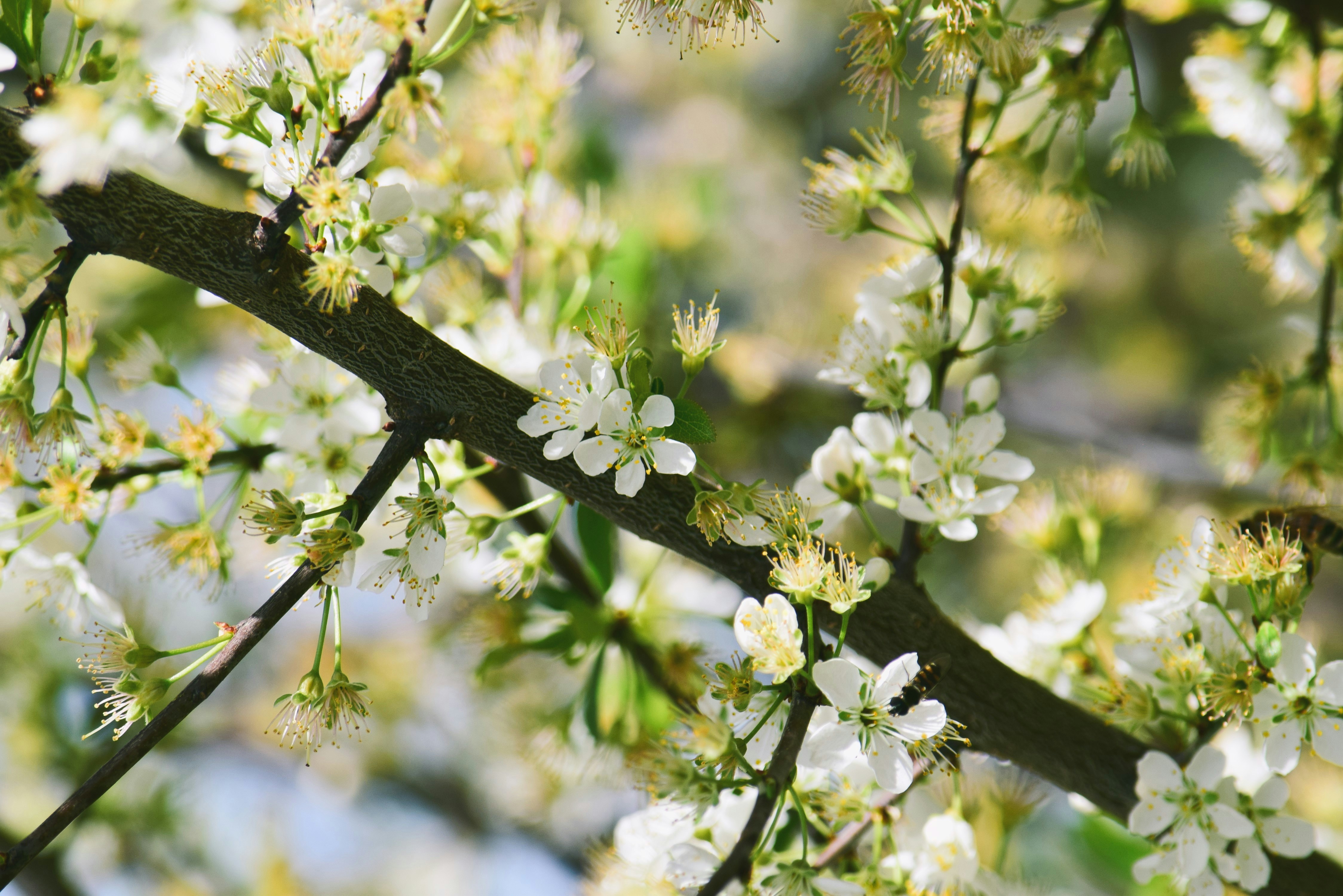 Photo by ch_photography