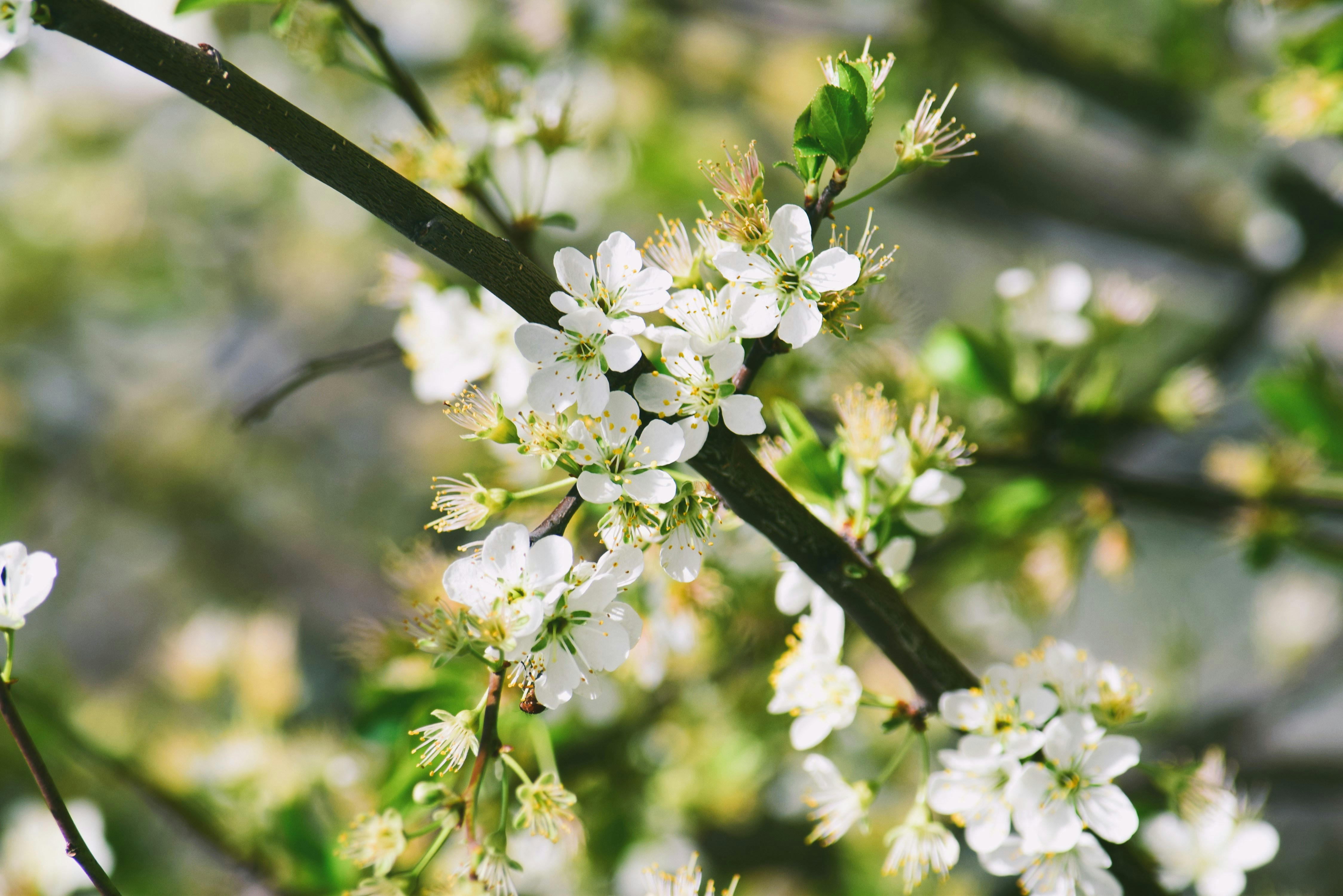 Photo by ch_photography