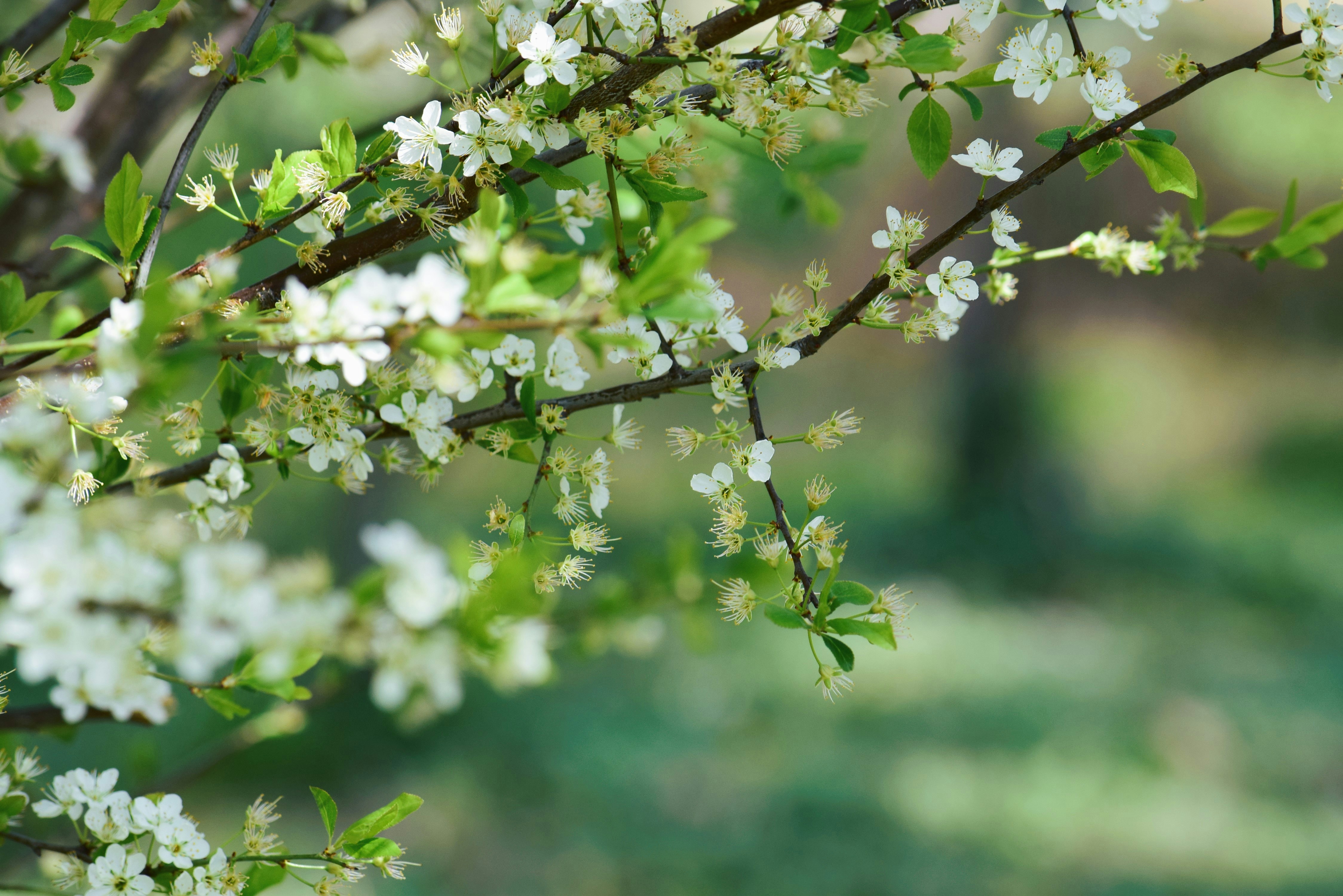 Photo by ch_photography