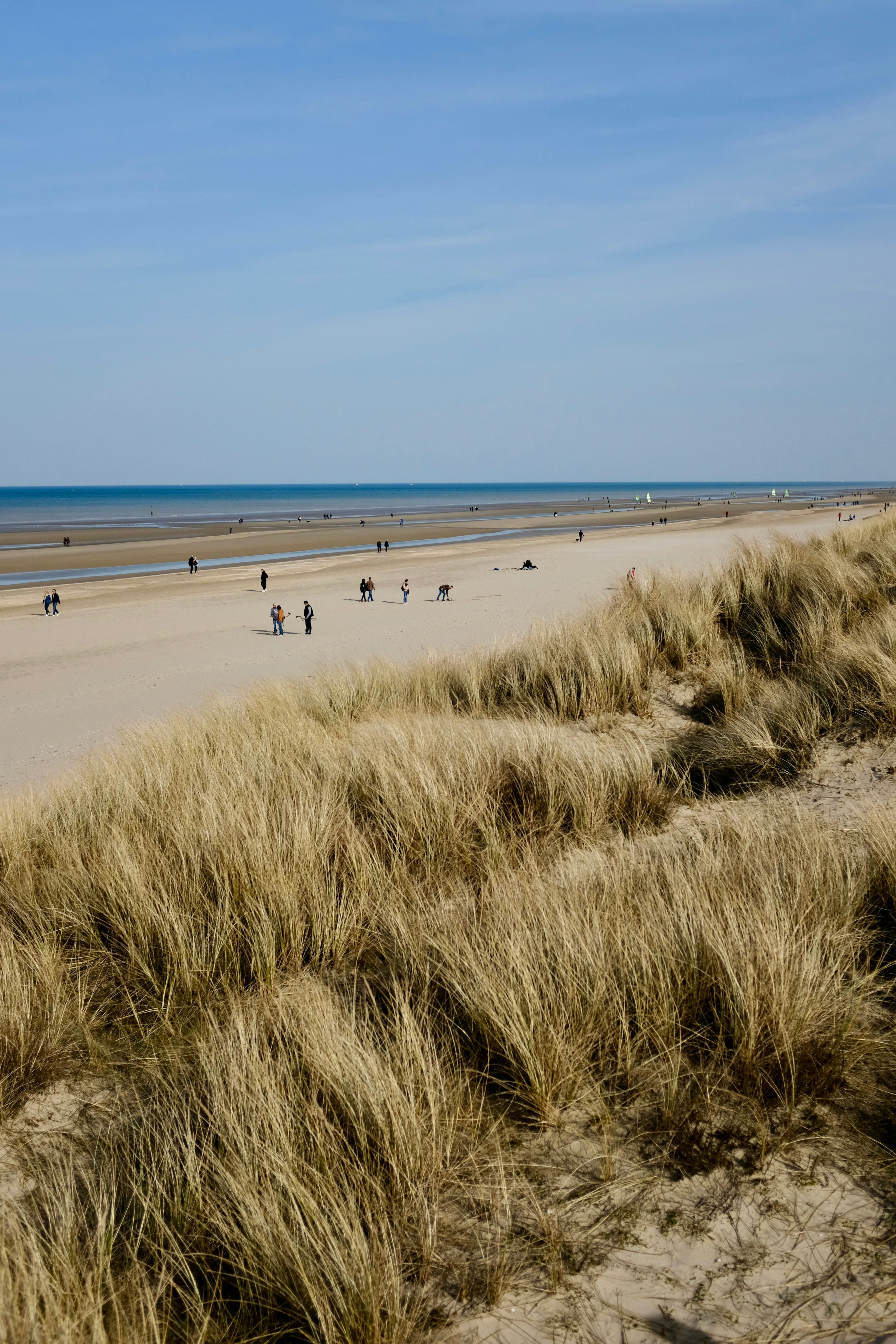 Photo by alekseixagafonov