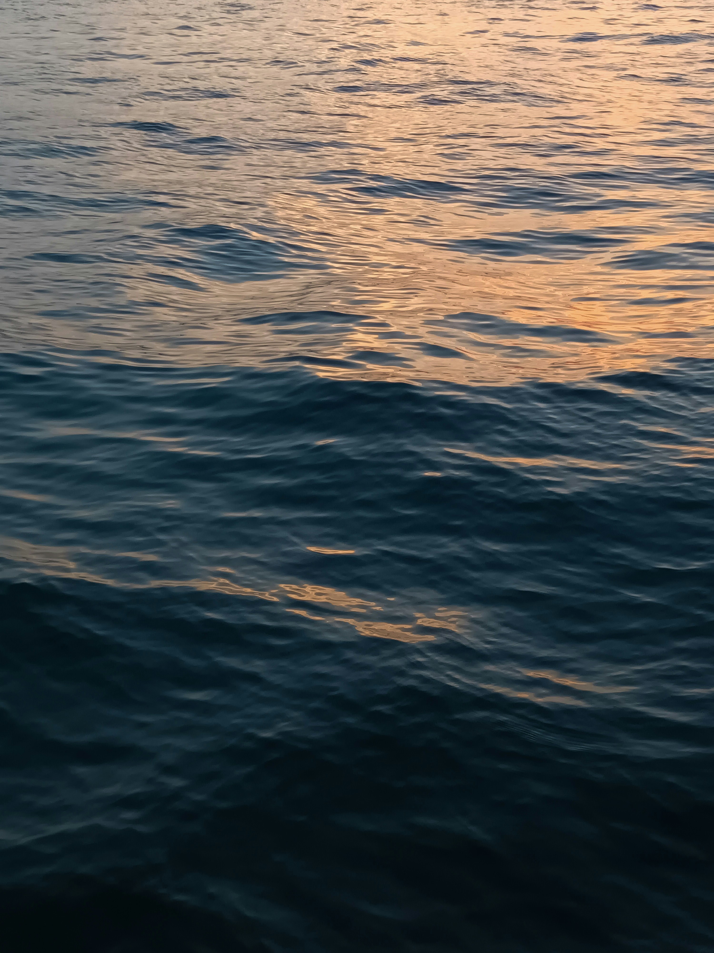 Photo by barbara_light