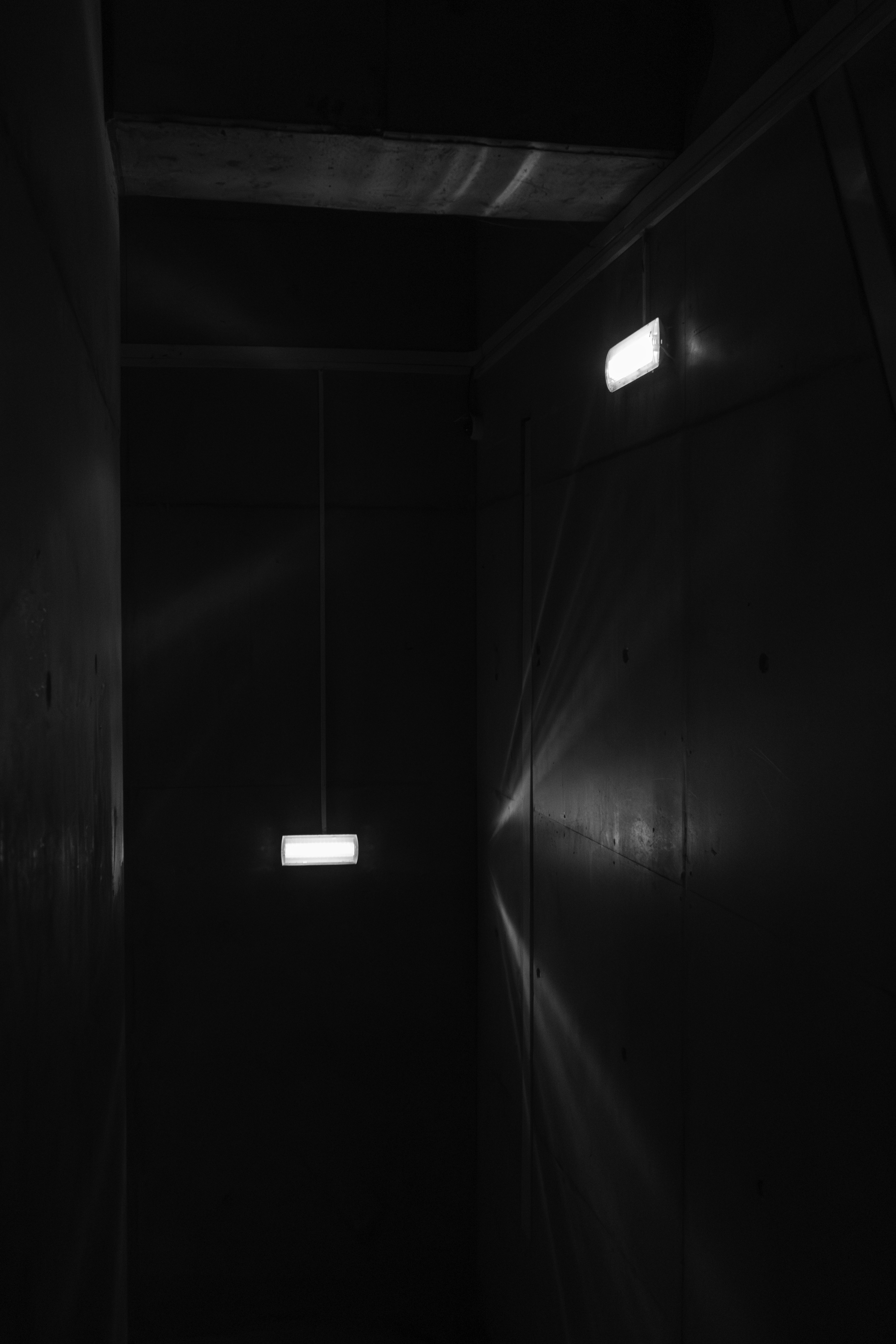 Photo by filipenobre