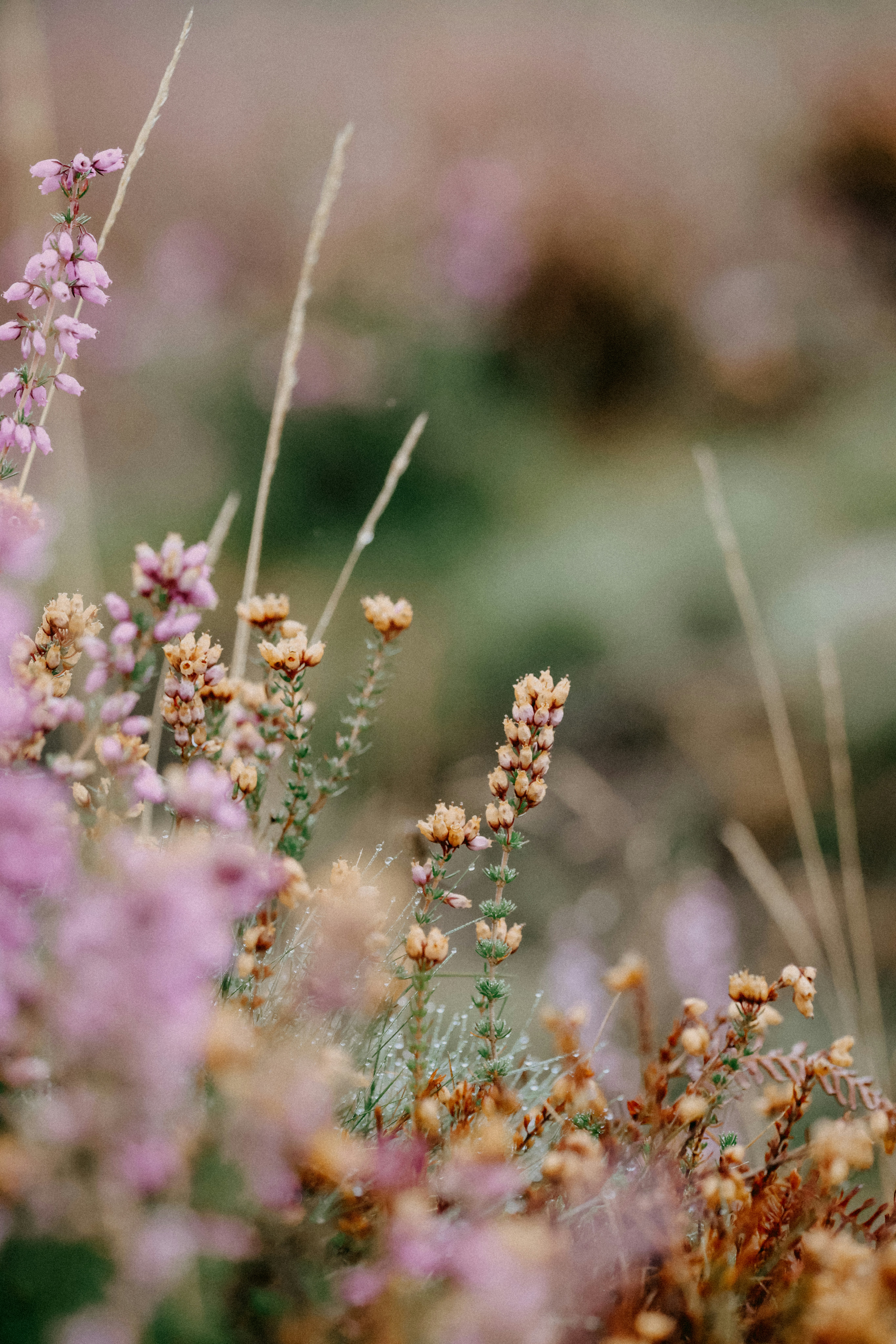 Photo by anniespratt