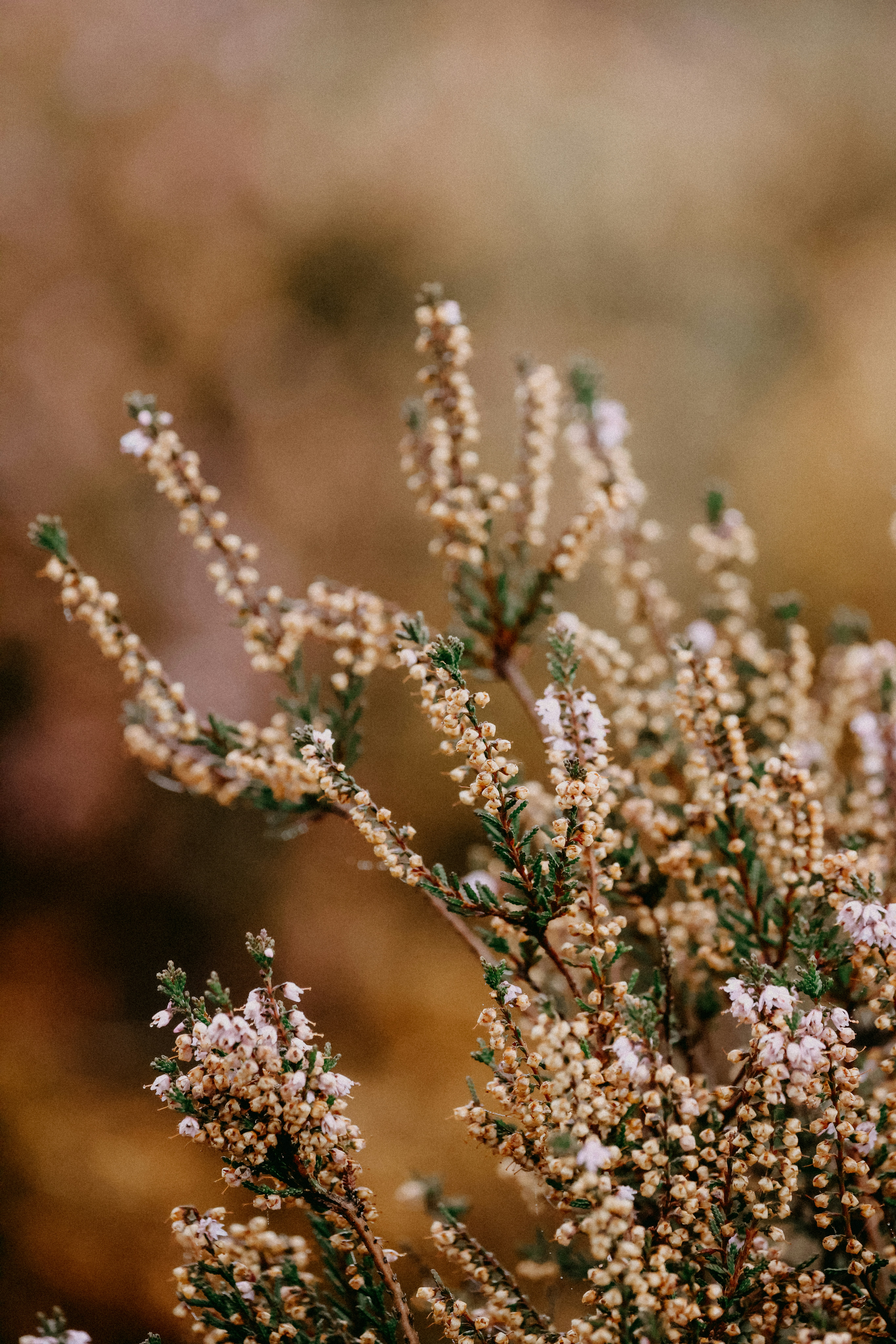 Photo by anniespratt