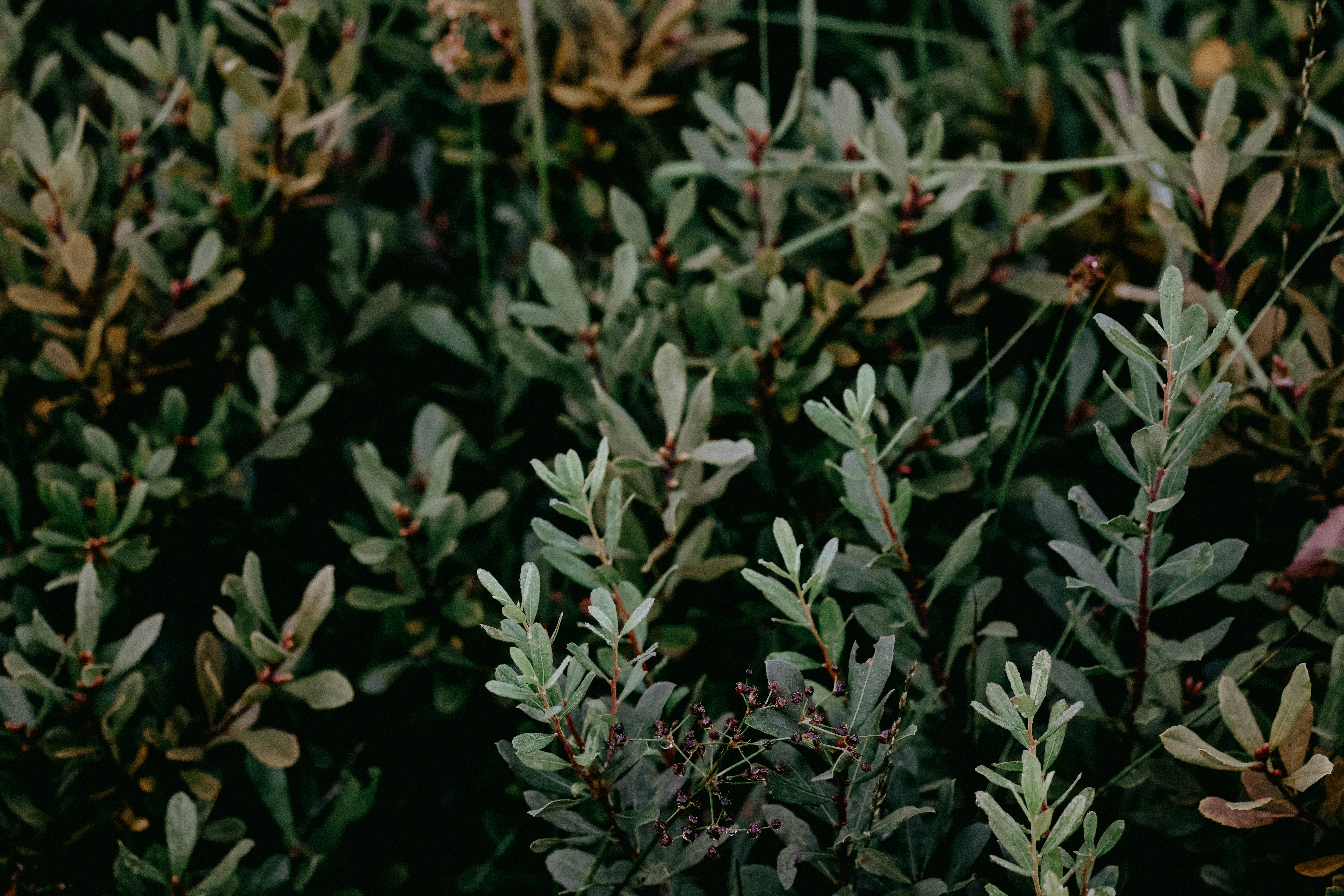 Photo by anniespratt