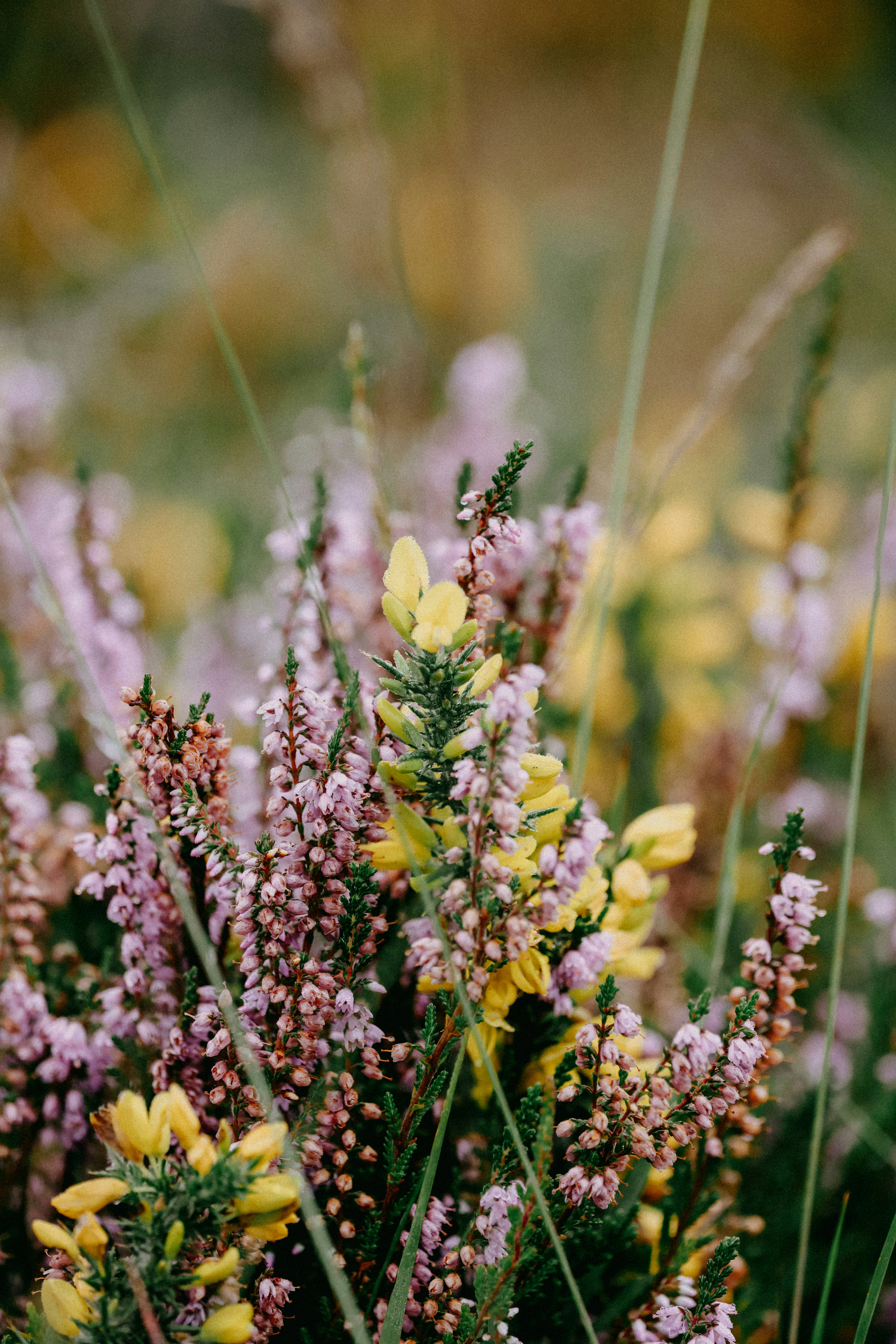 Photo by anniespratt