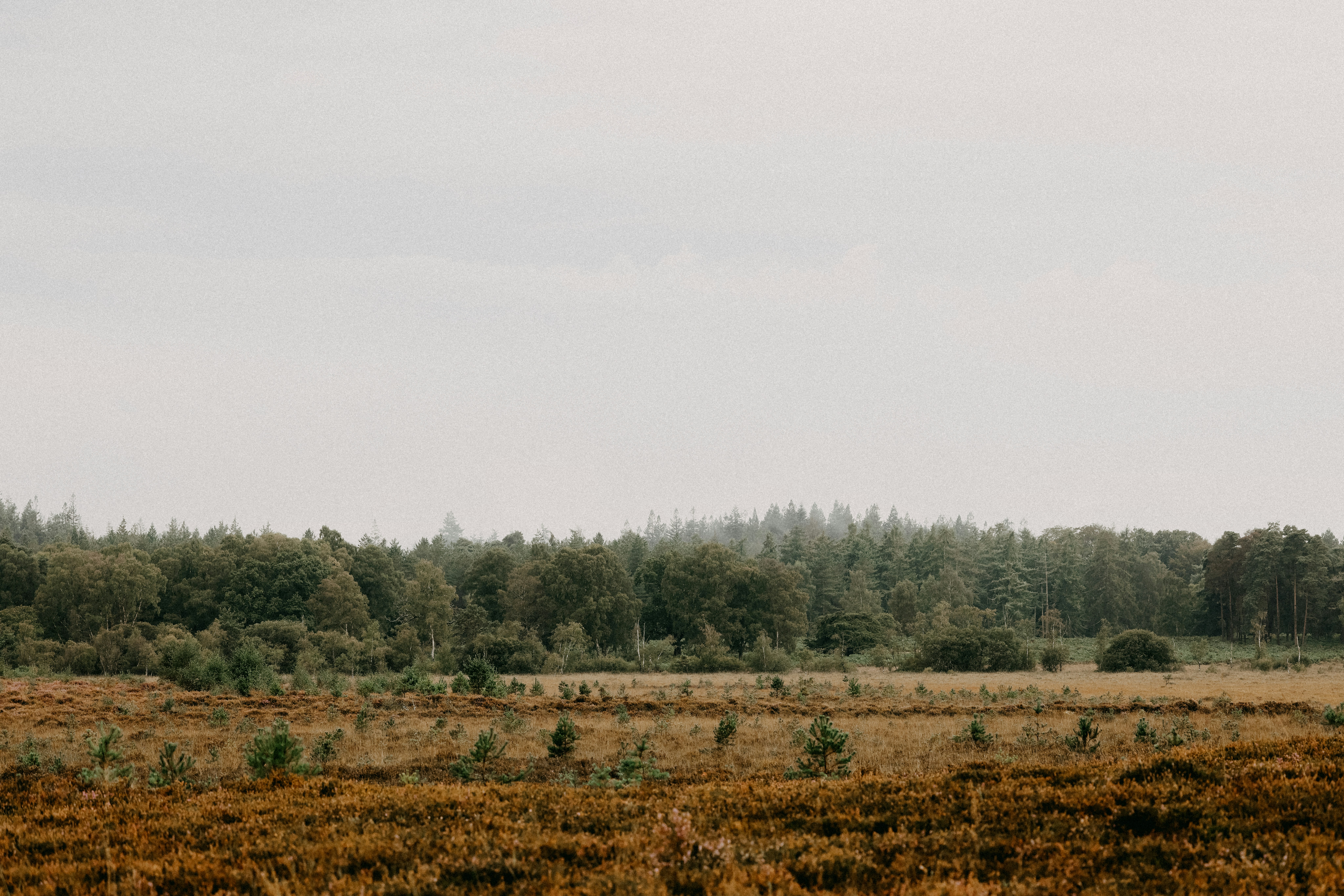 Photo by anniespratt