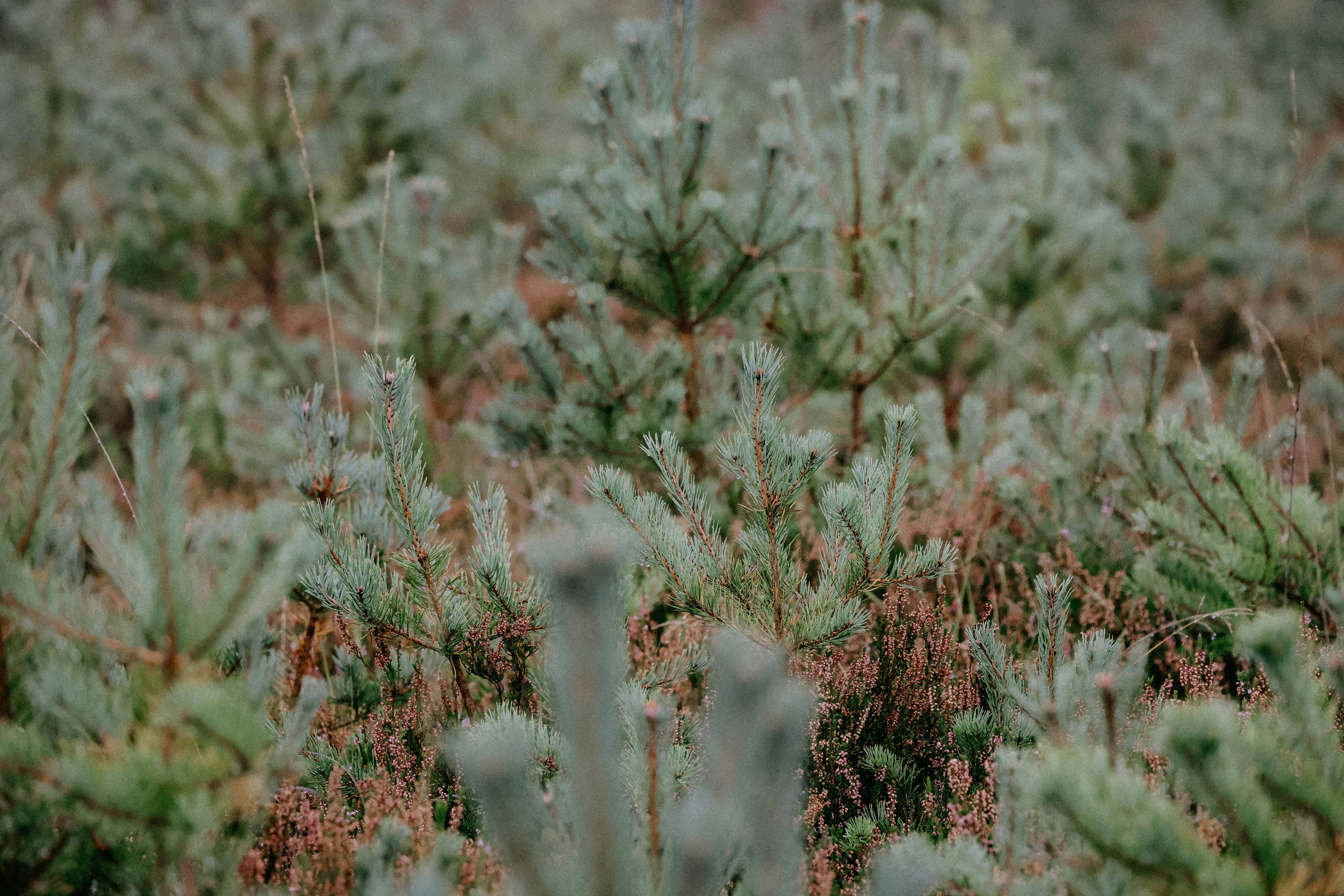 Photo by anniespratt