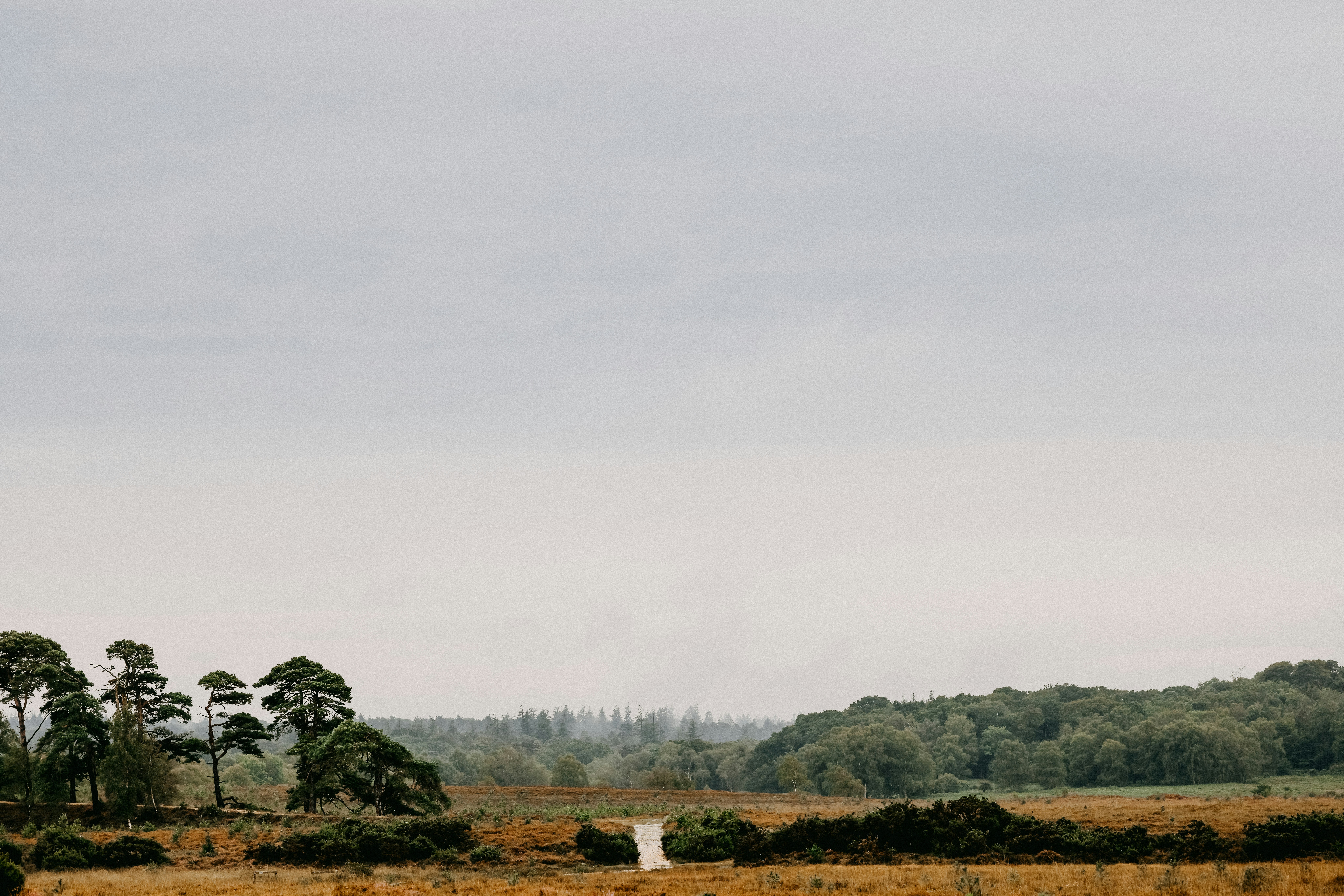 Photo by anniespratt