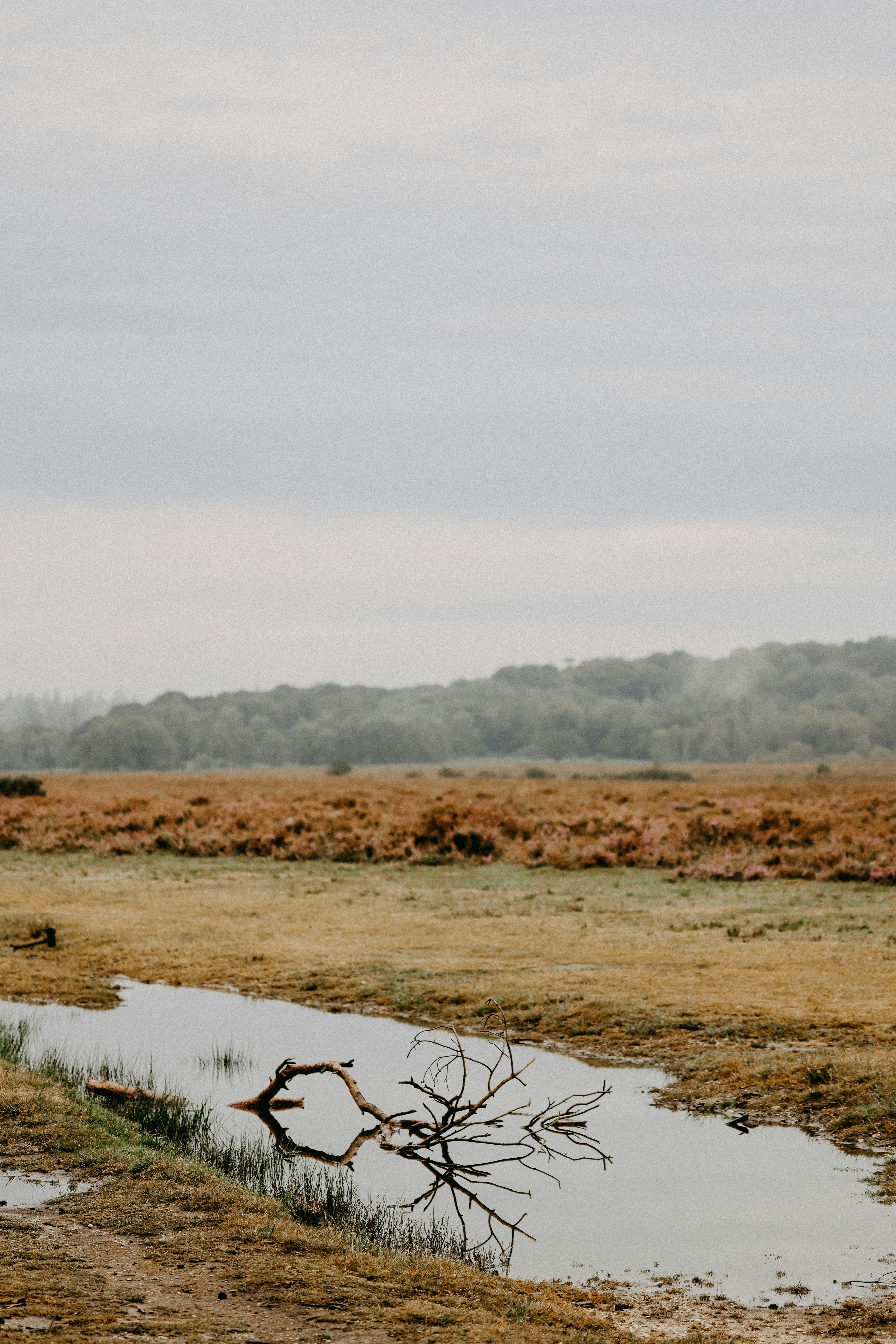 Photo by anniespratt