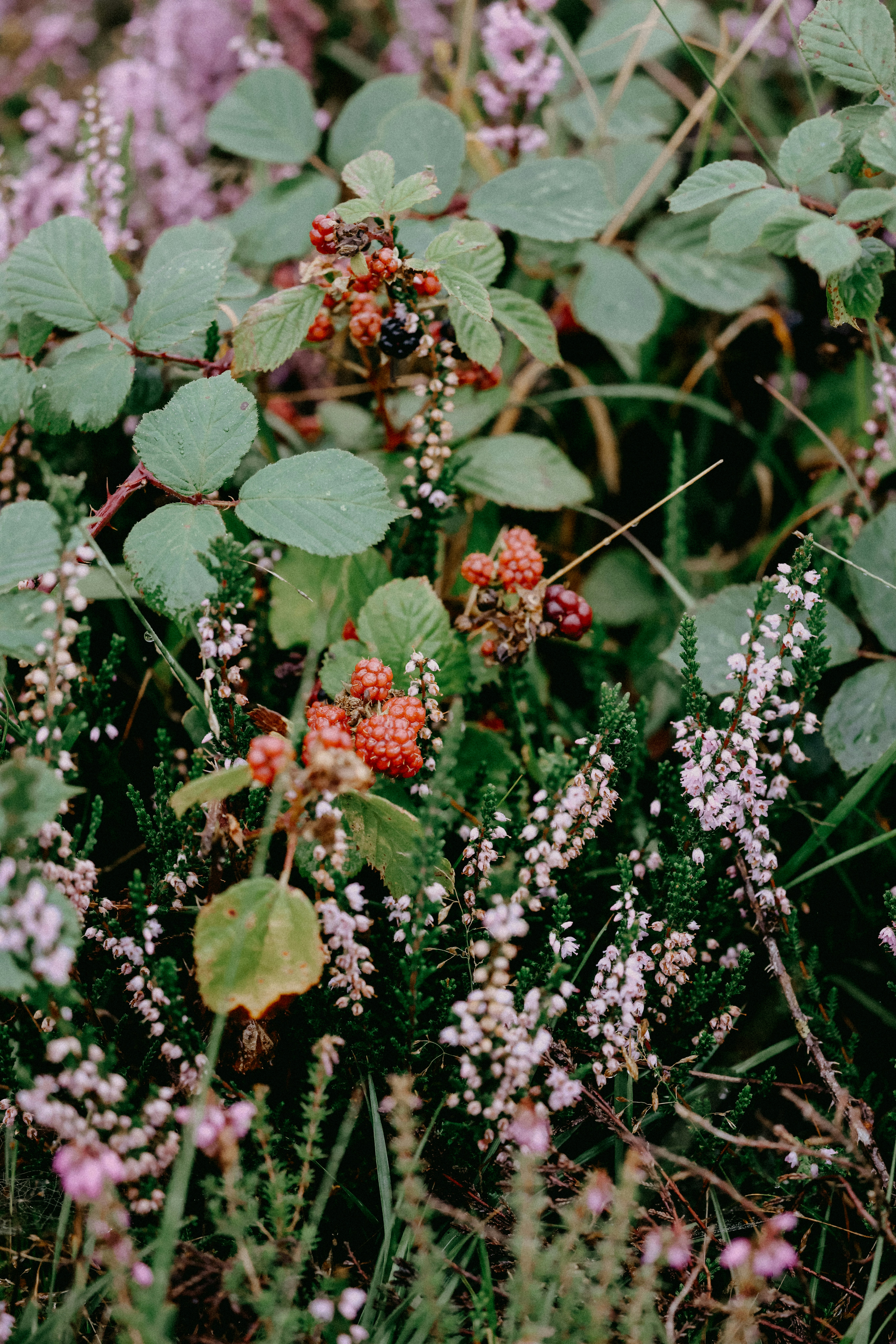 Photo by anniespratt