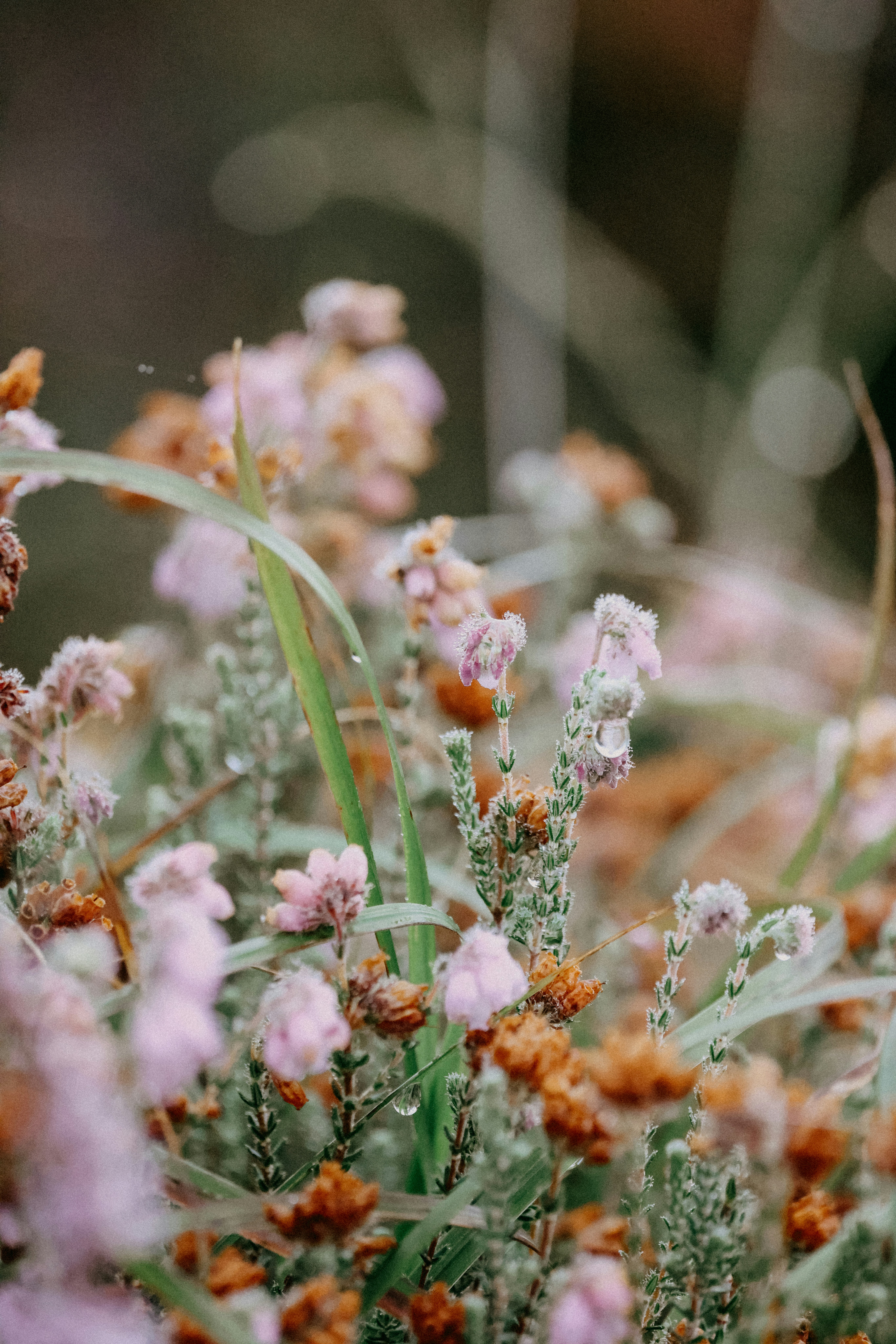 Photo by anniespratt