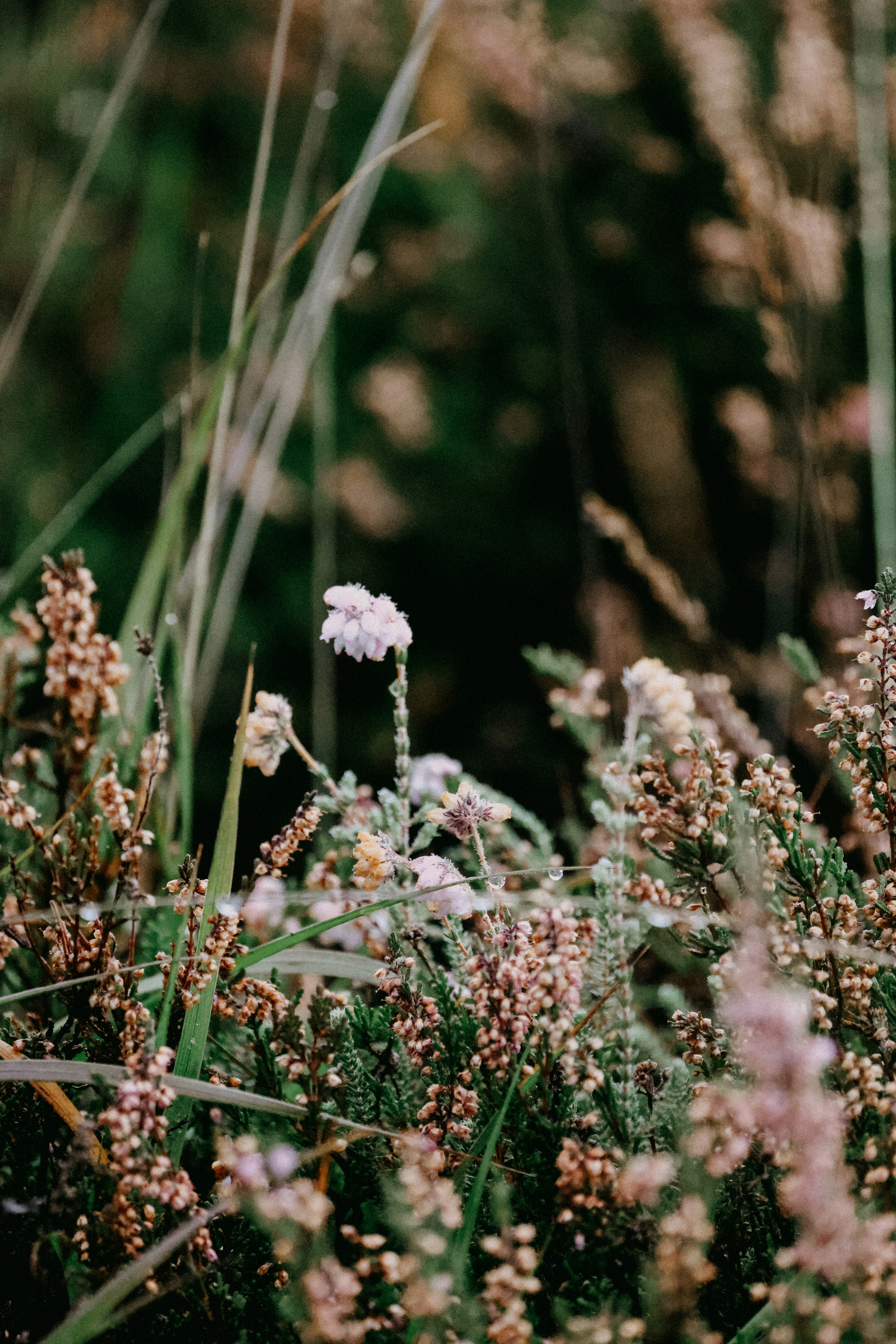 Photo by anniespratt