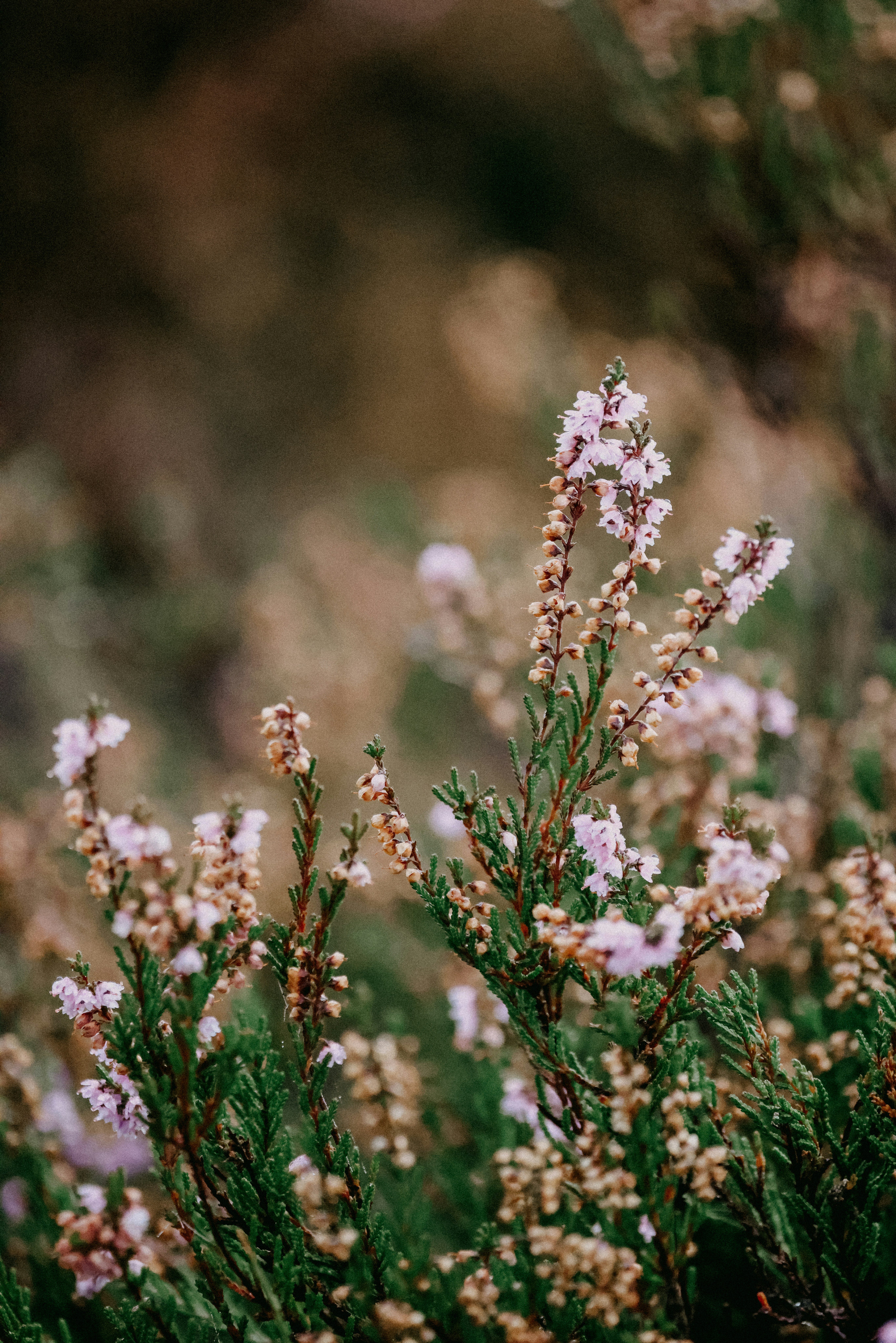 Photo by anniespratt