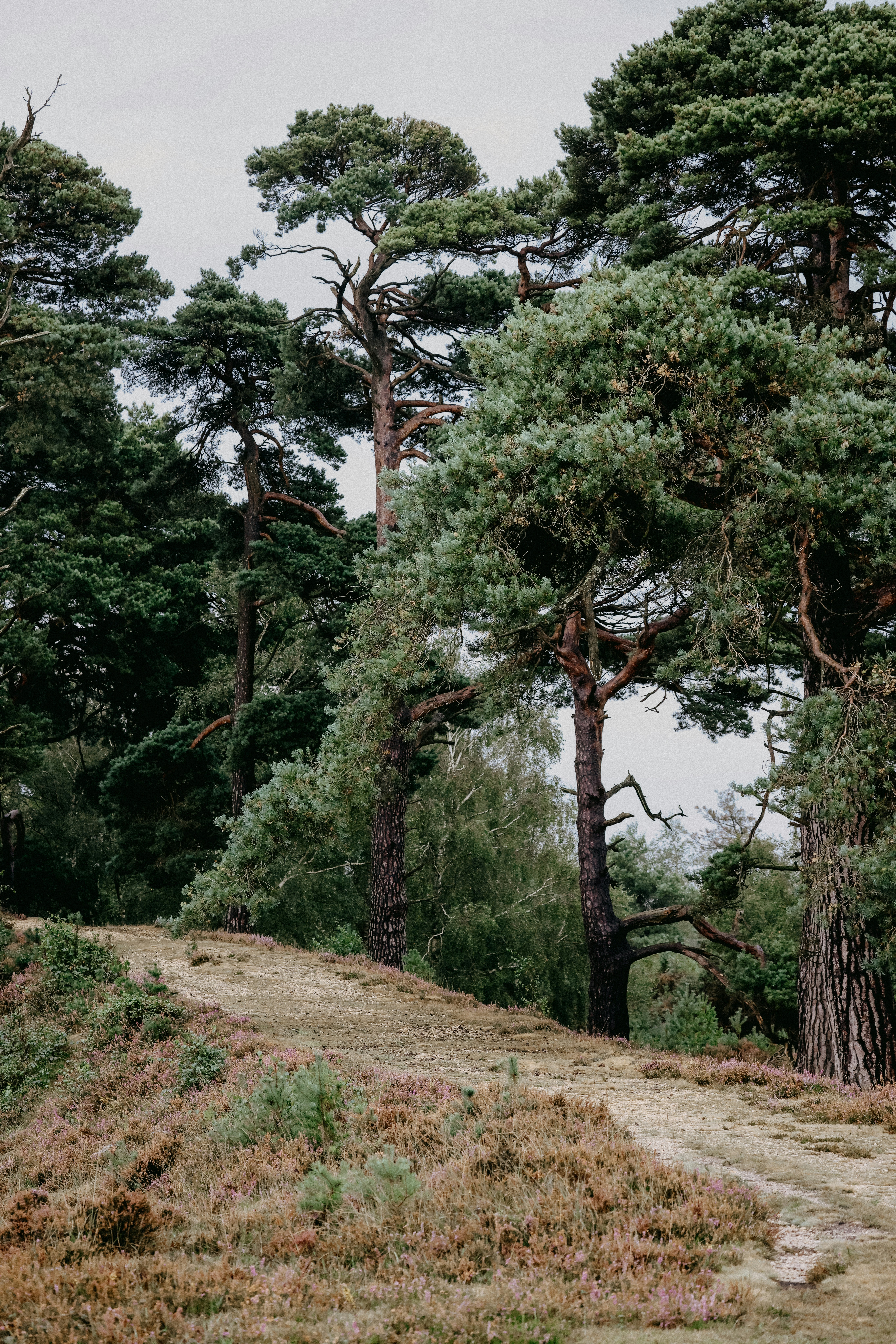 Photo by anniespratt