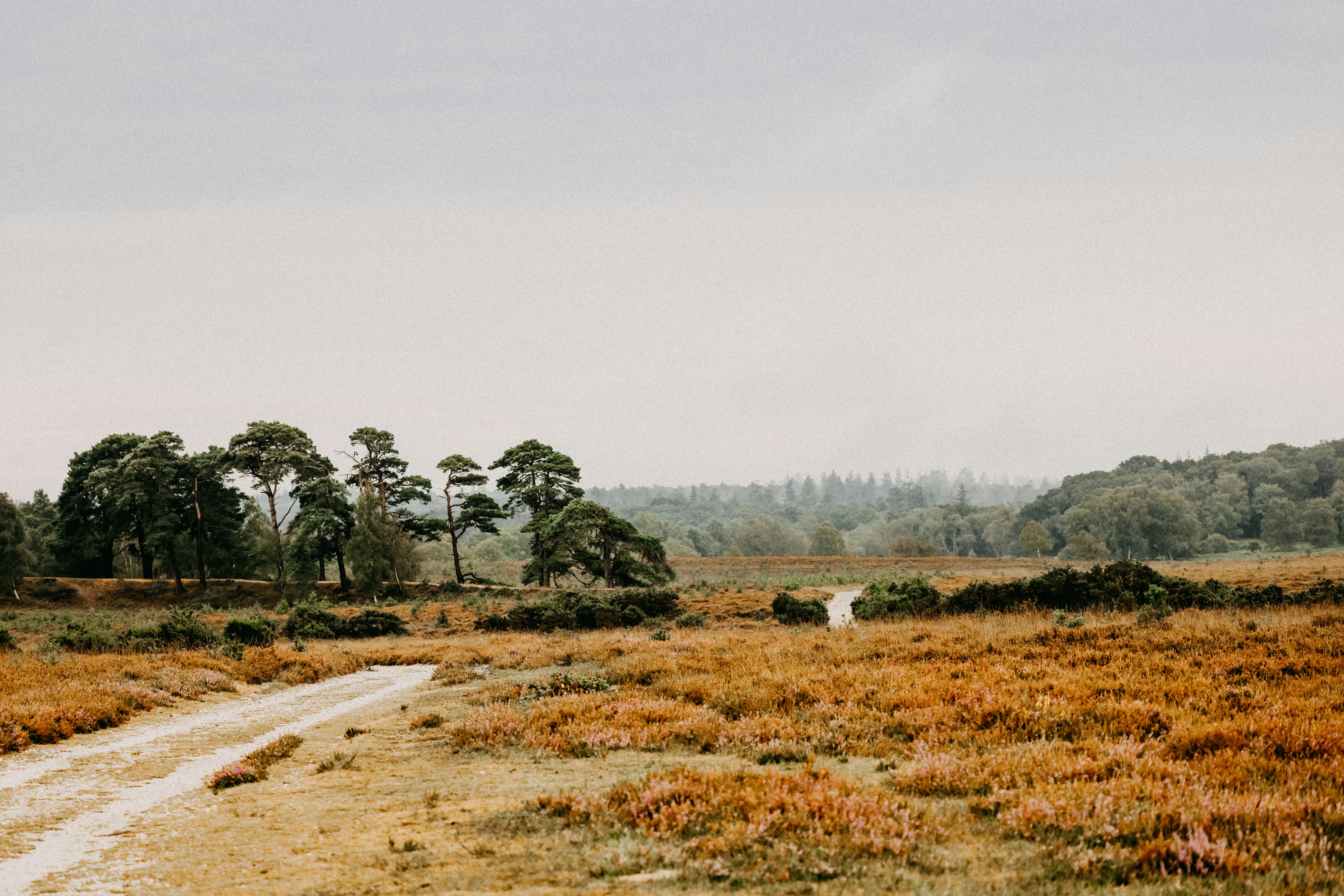 Photo by anniespratt