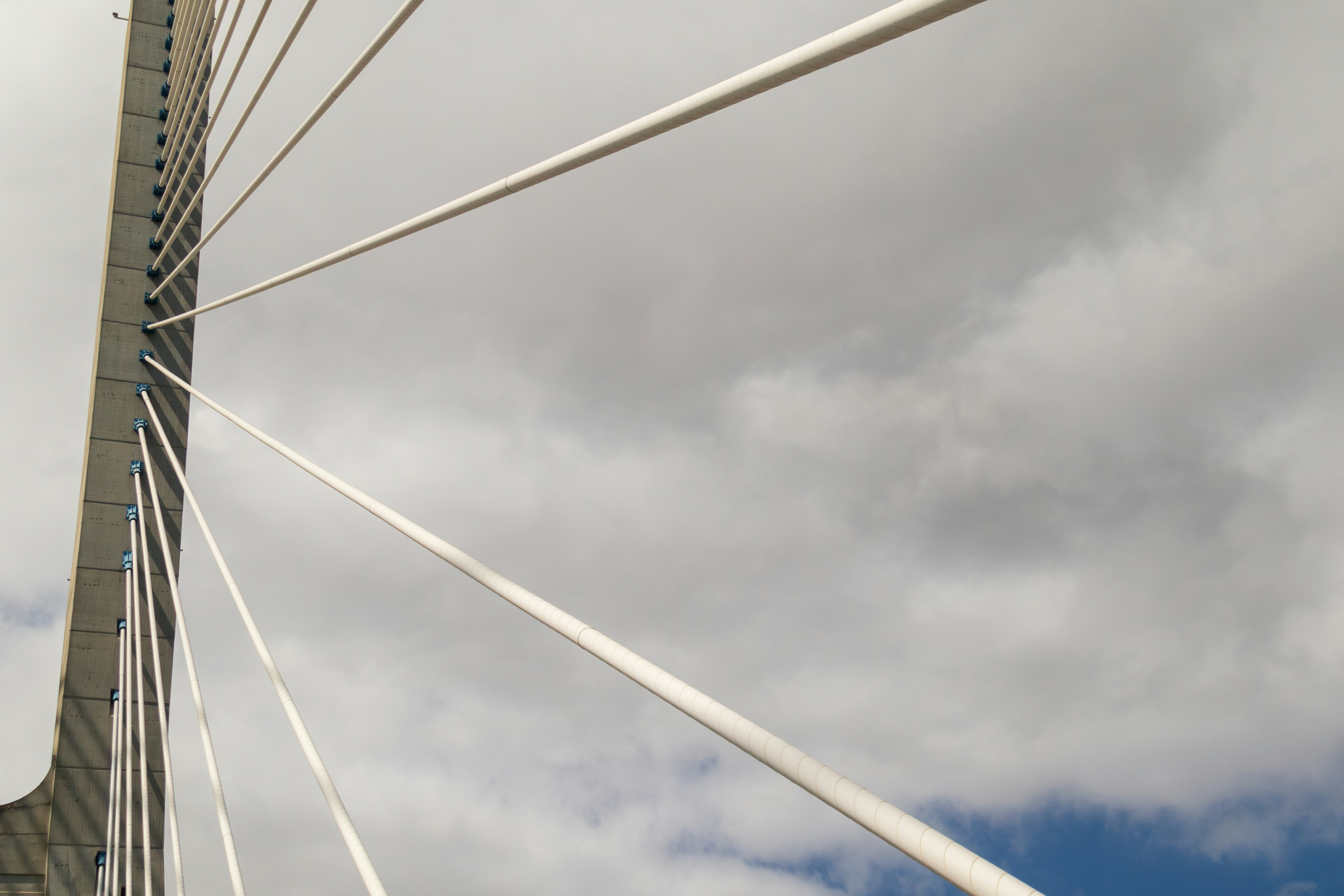 Photo by filipenobre