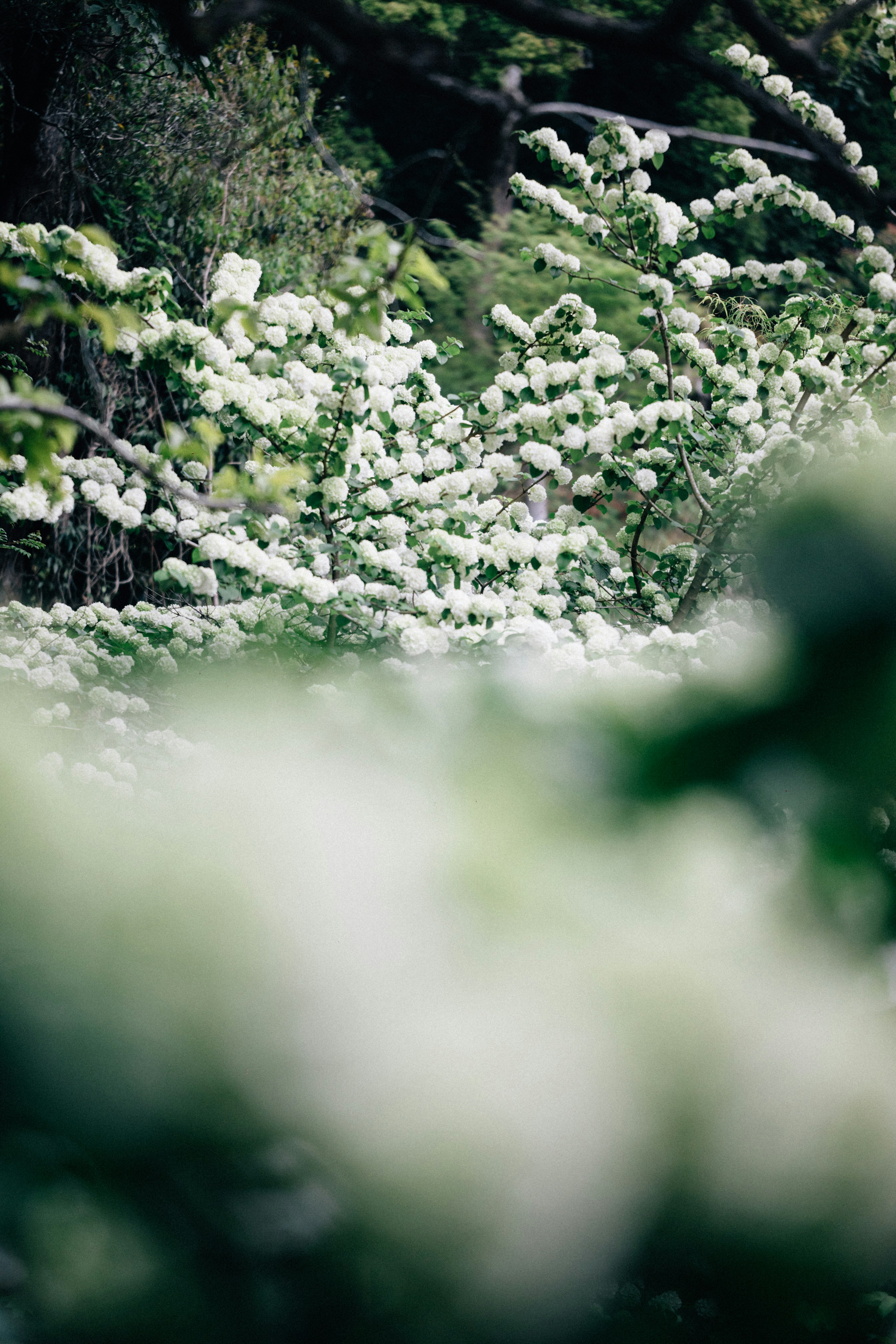 Photo by tsuyoshikozu