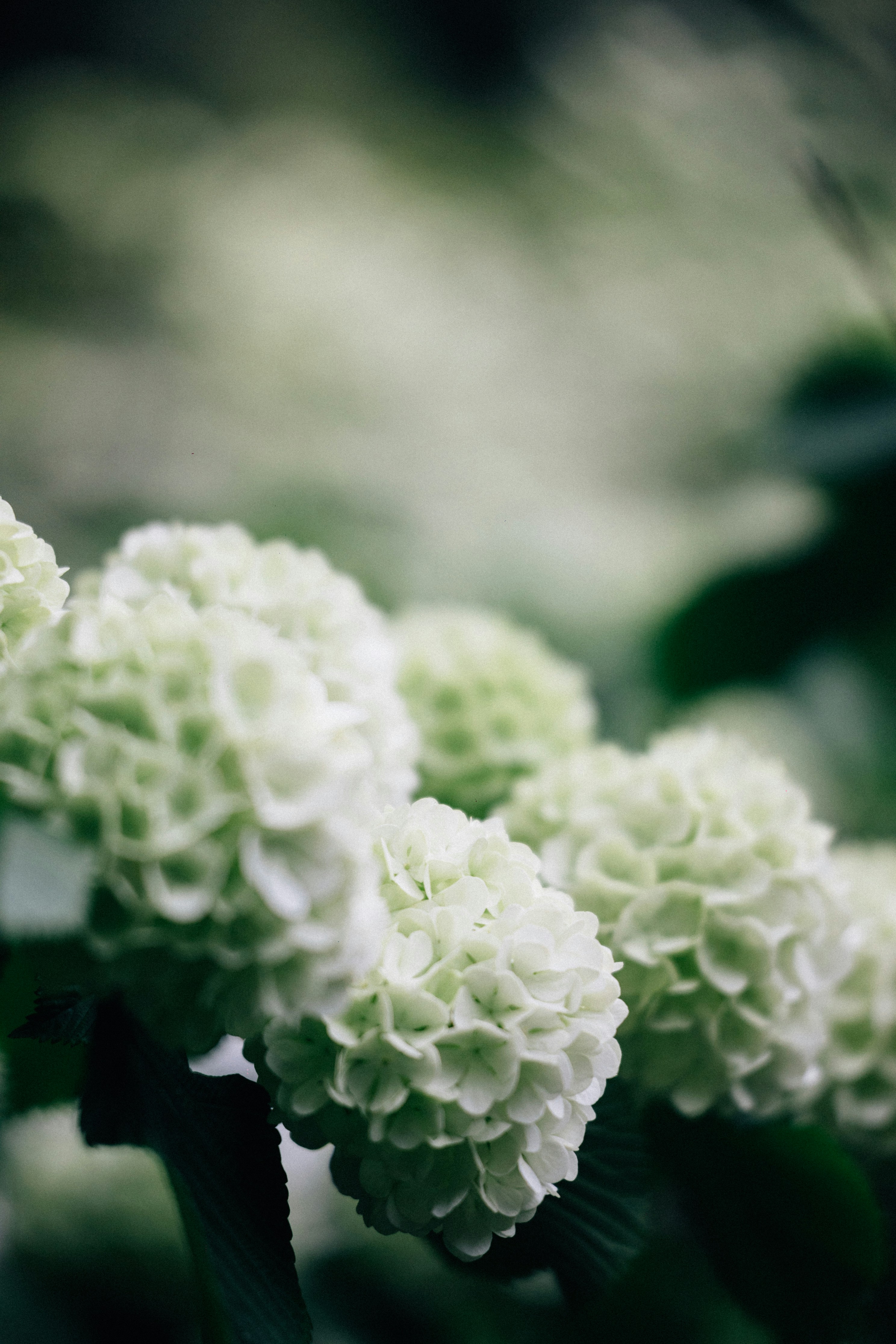 Photo by tsuyoshikozu