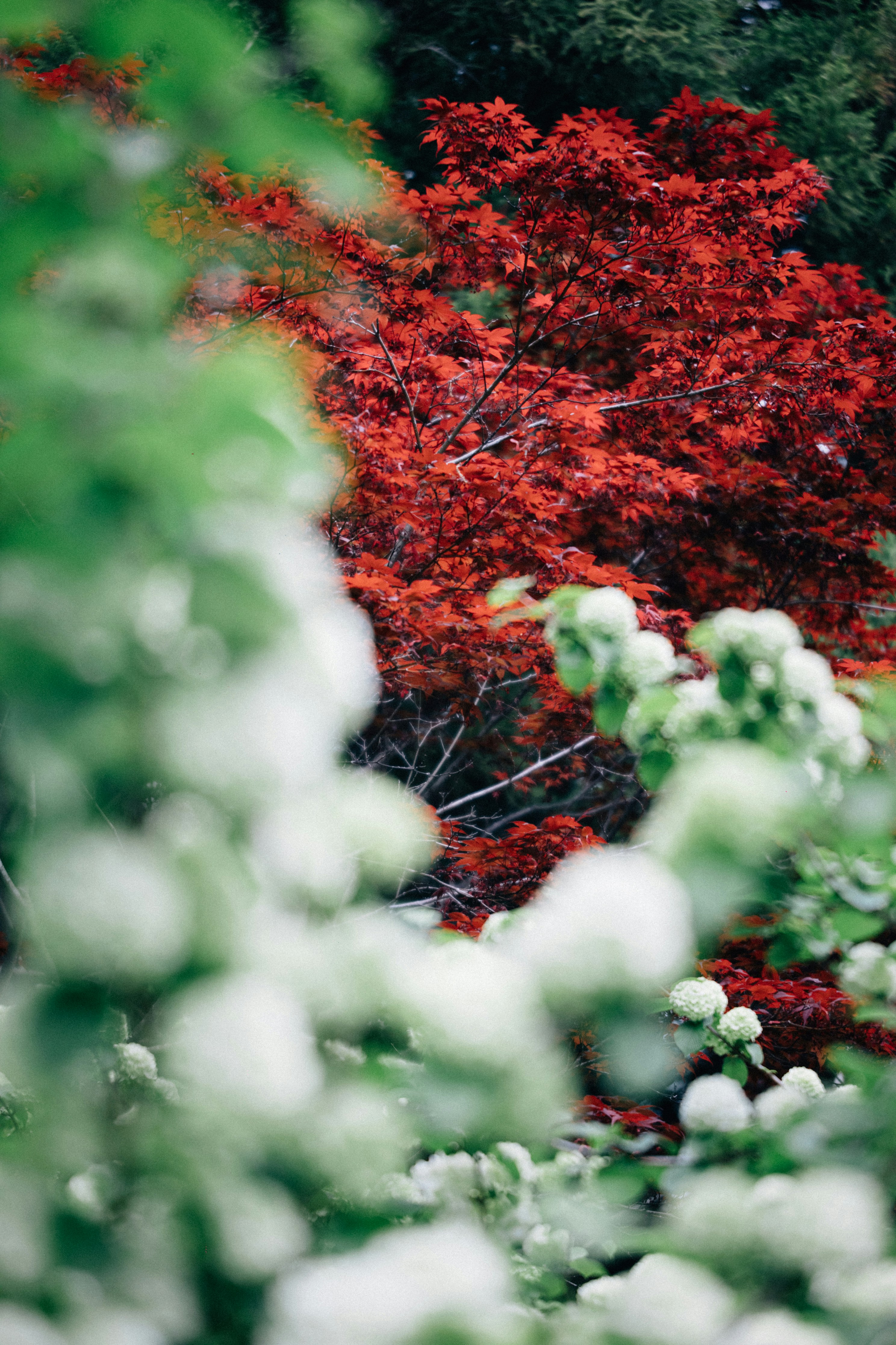 Photo by tsuyoshikozu