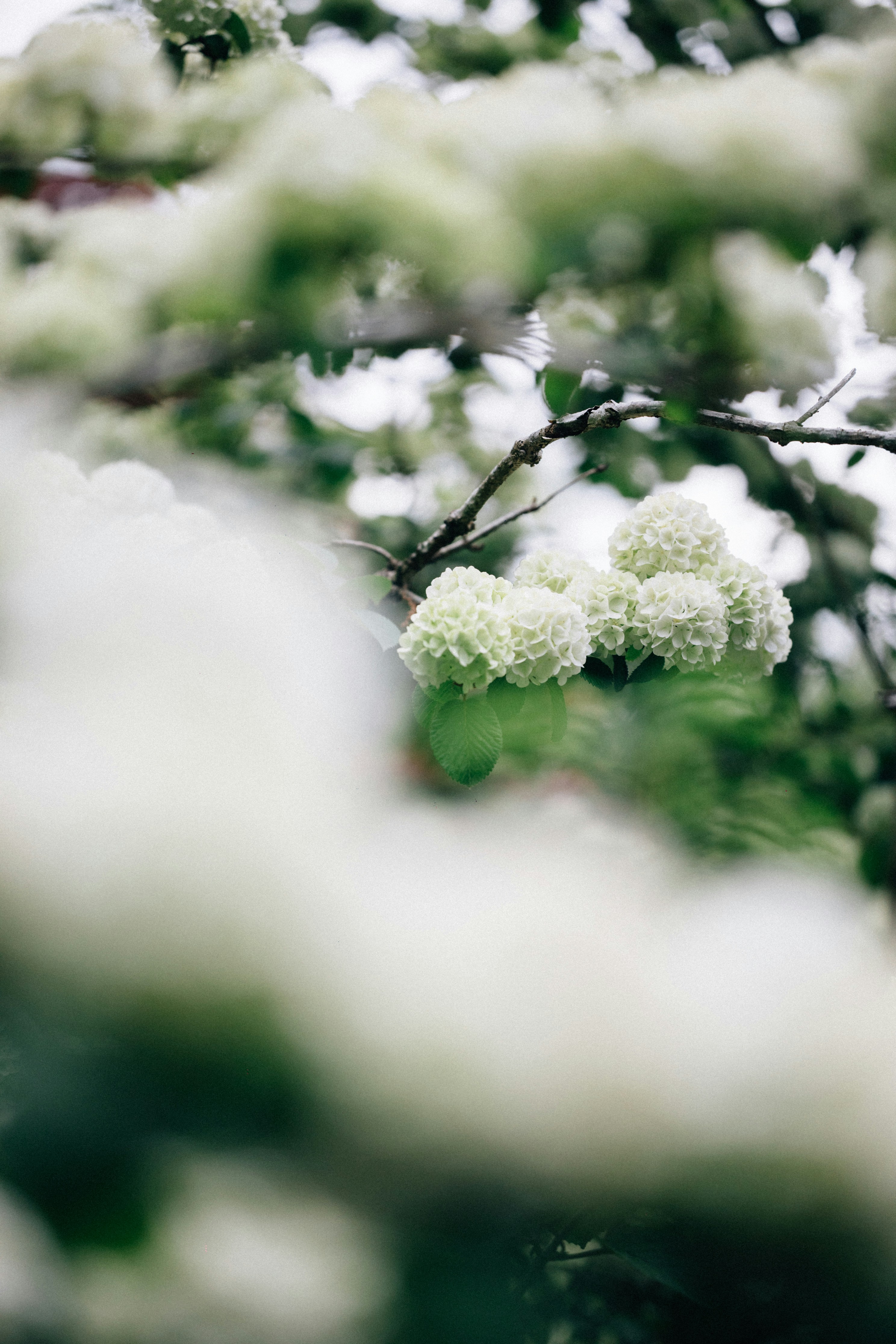 Photo by tsuyoshikozu