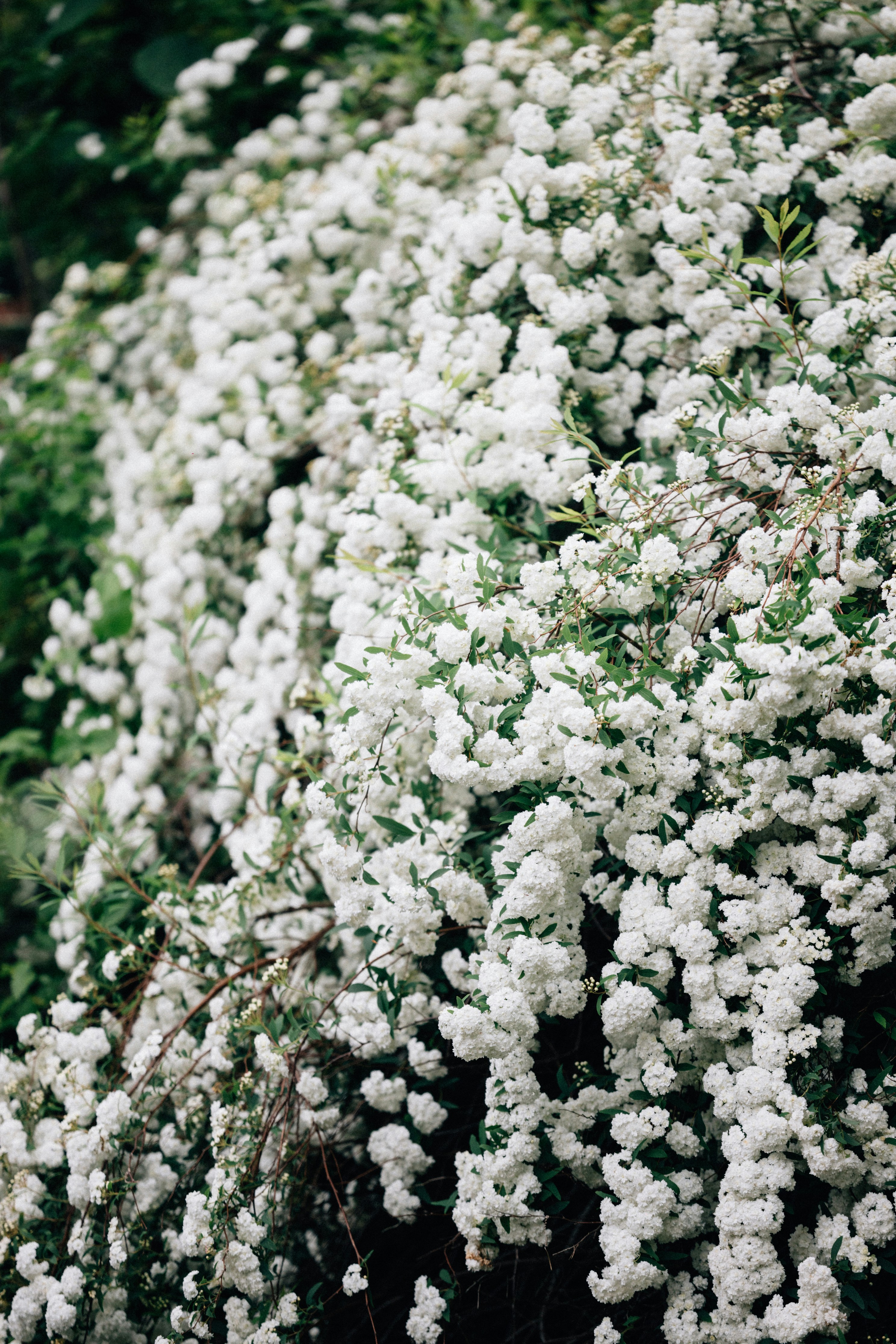 Photo by tsuyoshikozu