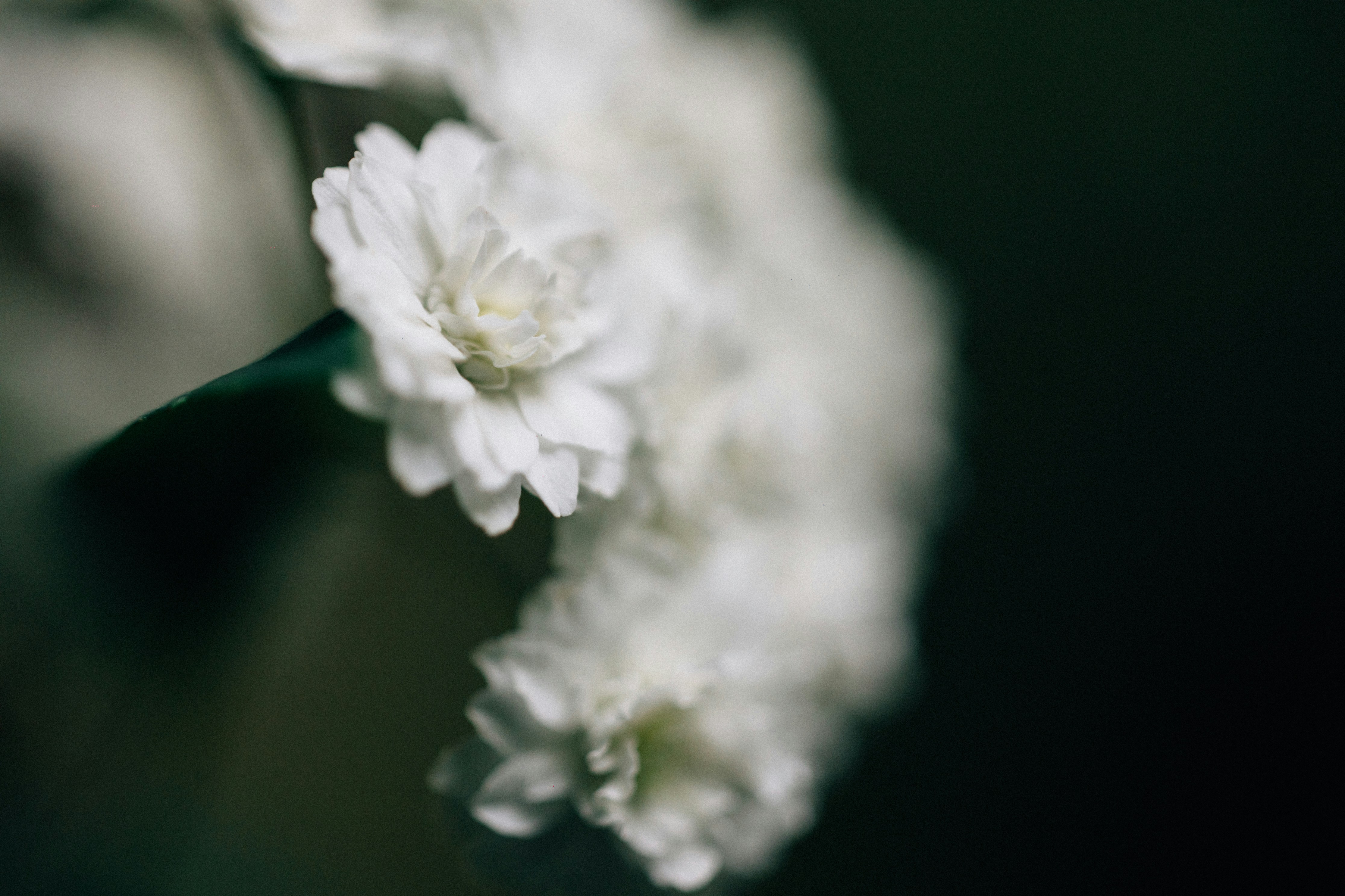 Photo by tsuyoshikozu