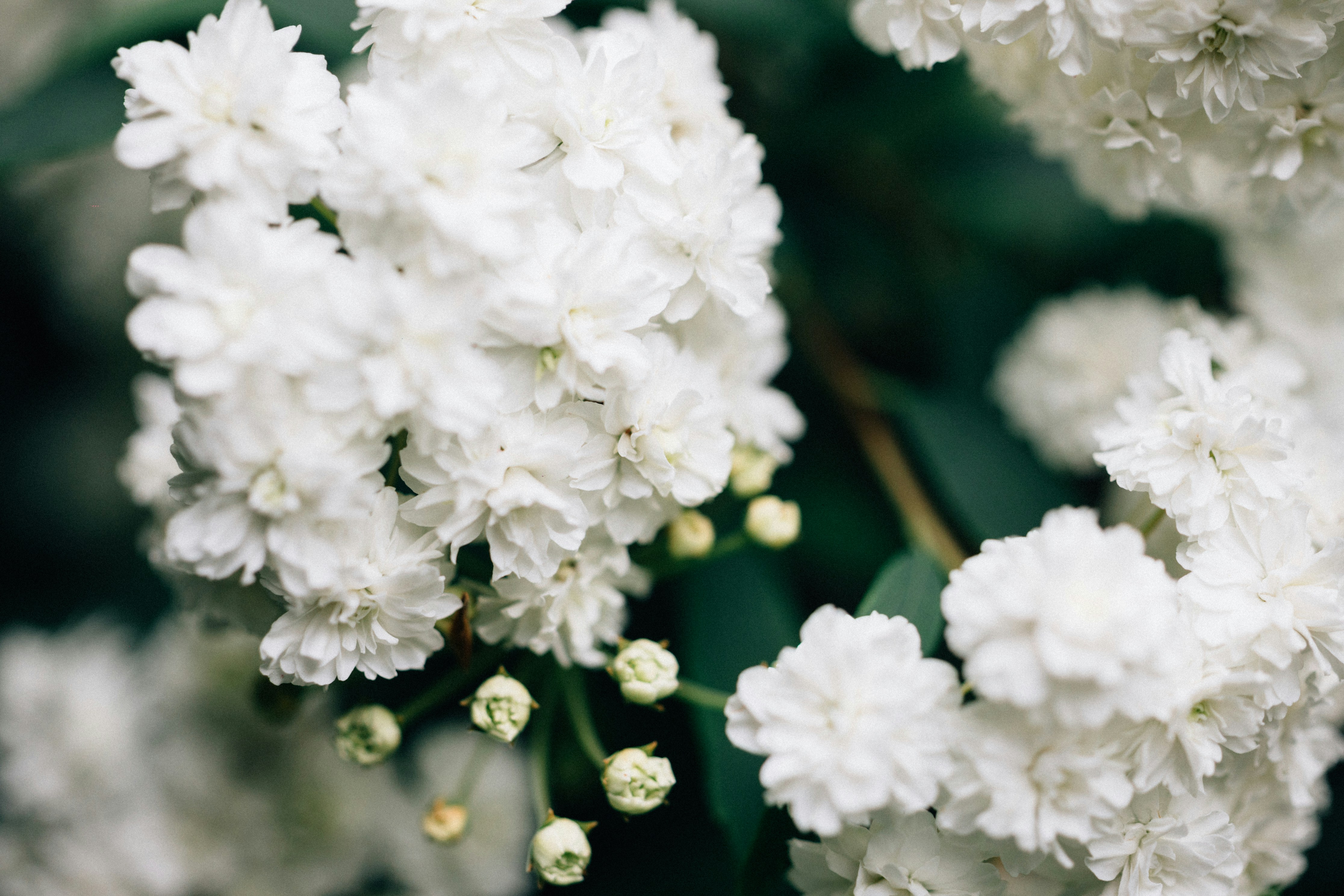 Photo by tsuyoshikozu